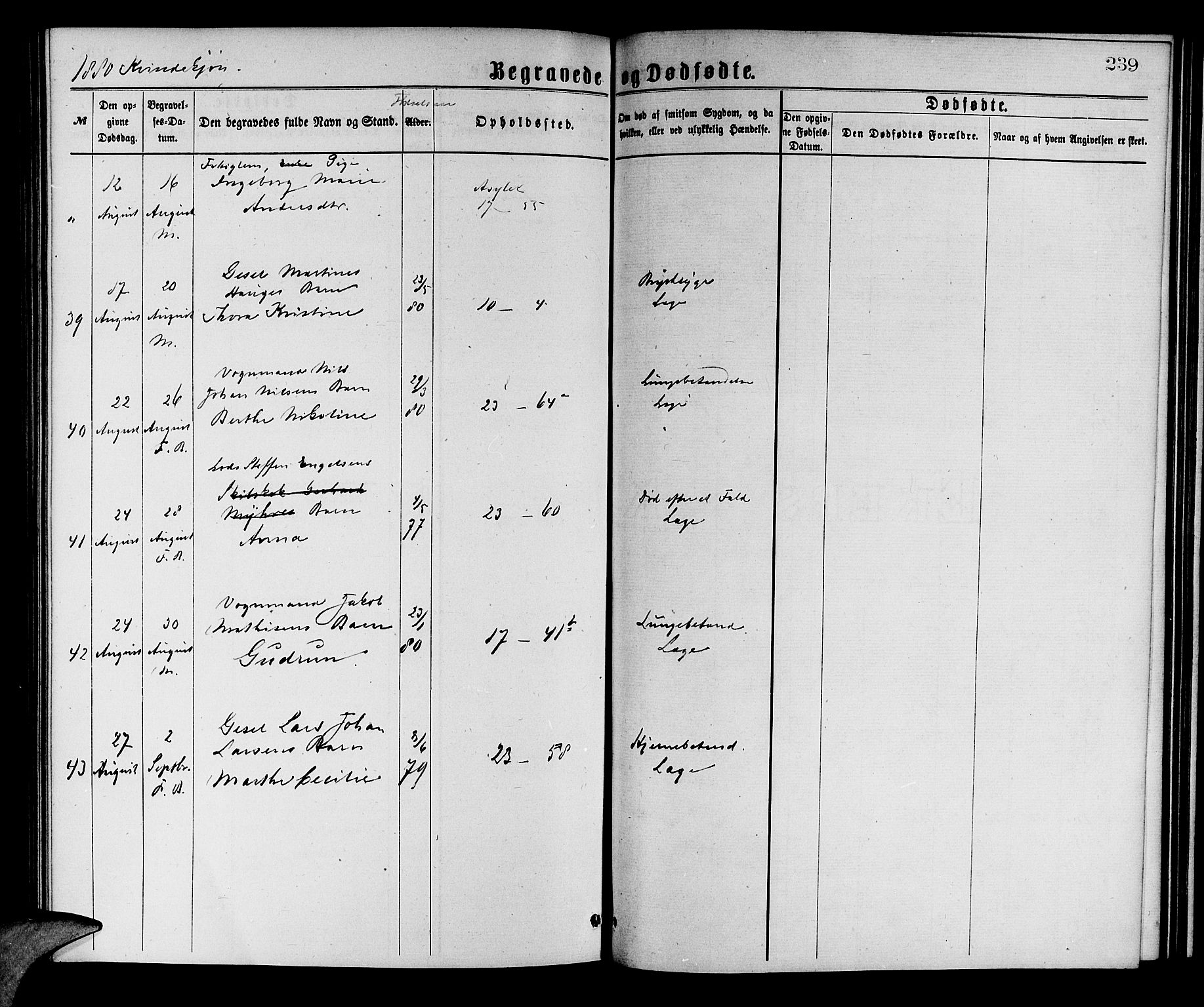 Korskirken sokneprestembete, SAB/A-76101/H/Hab: Parish register (copy) no. E 3, 1871-1883, p. 239