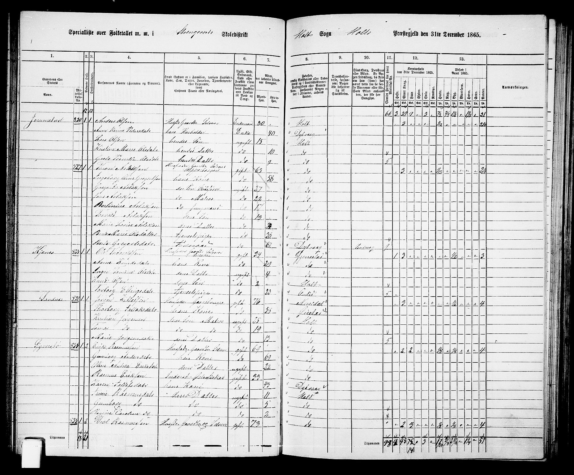 RA, 1865 census for Holt/Holt, 1865, p. 73