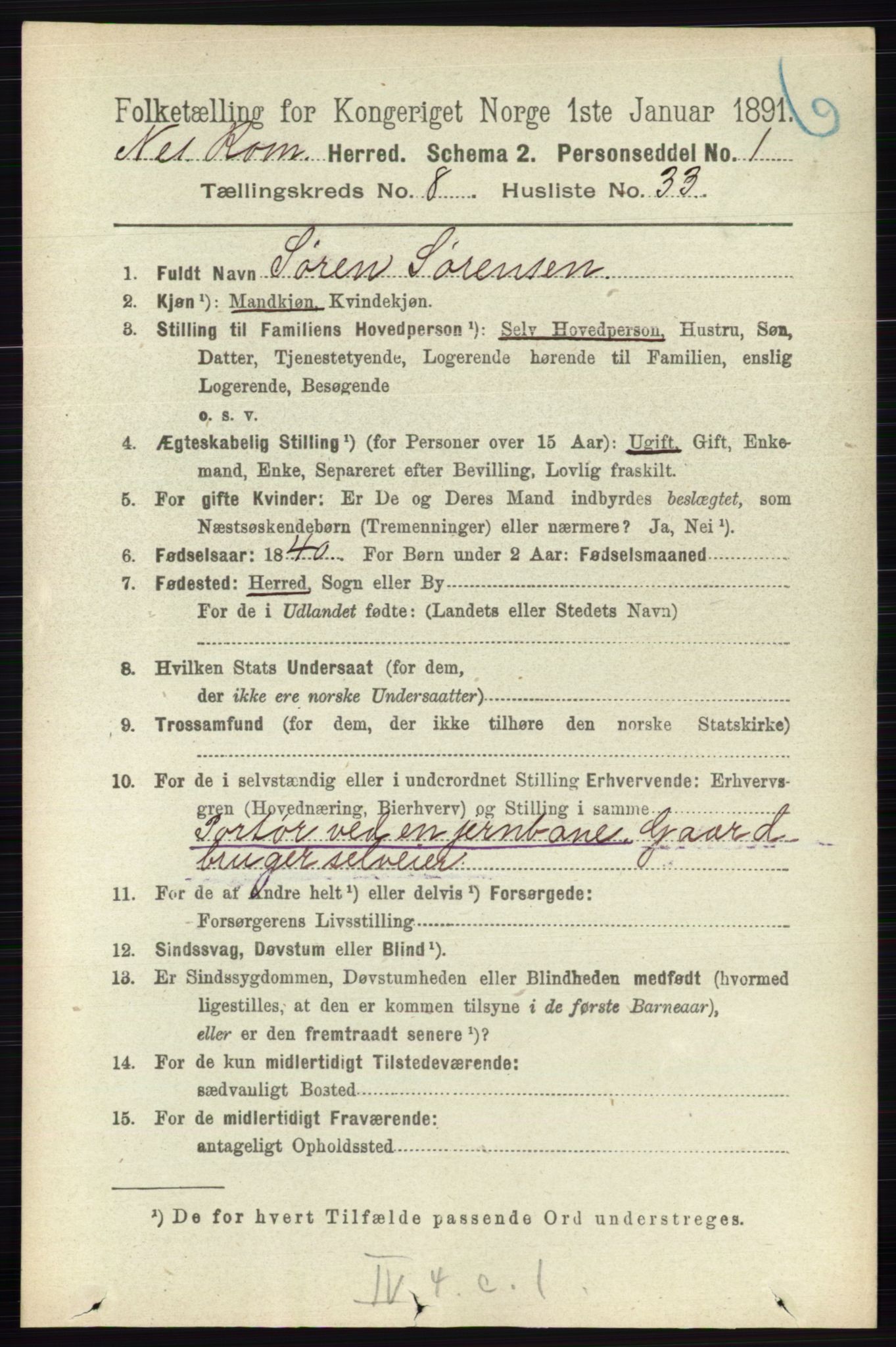 RA, 1891 census for 0236 Nes, 1891, p. 4803