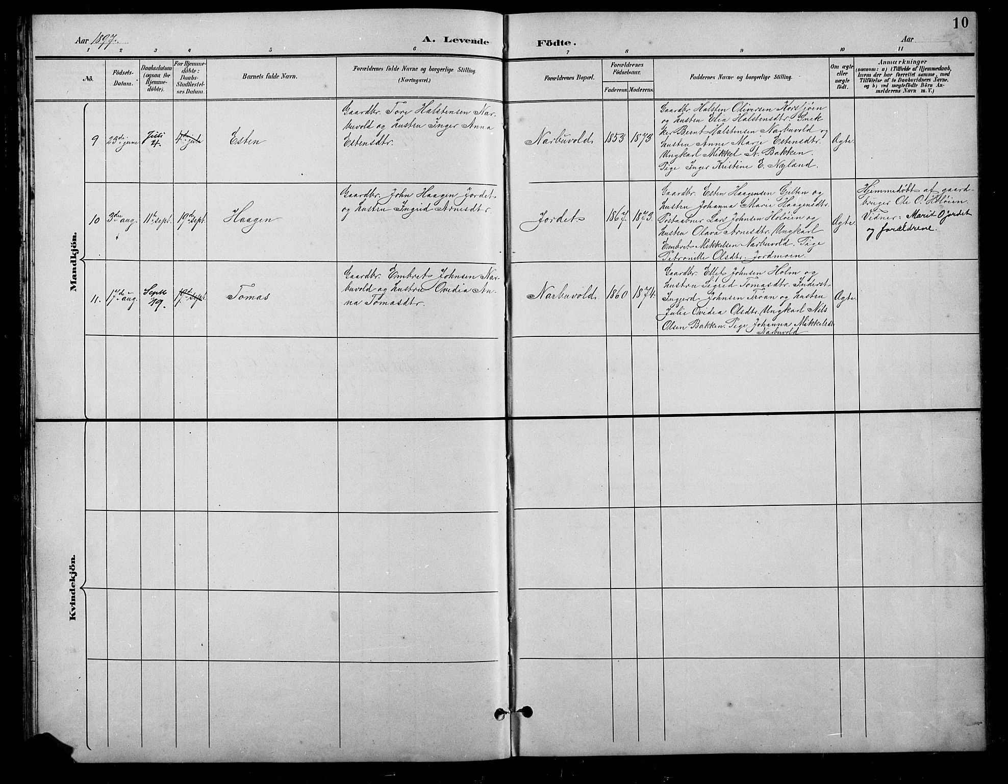 Tolga prestekontor, AV/SAH-PREST-062/L/L0011: Parish register (copy) no. 11, 1894-1925, p. 10