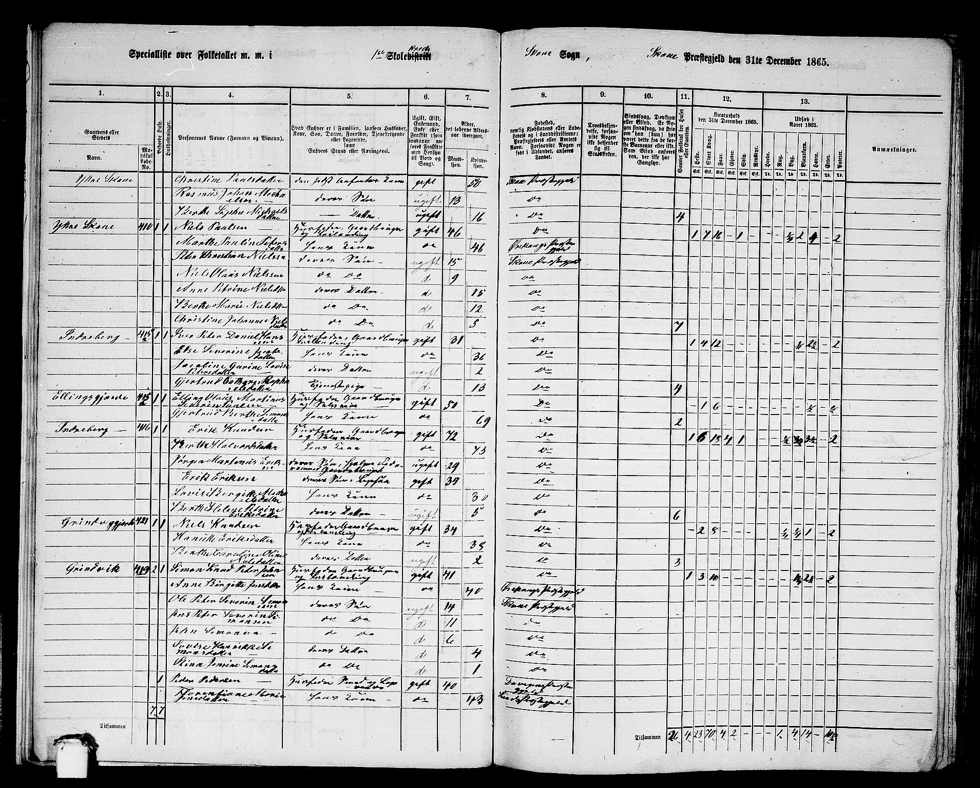 RA, 1865 census for Skodje, 1865, p. 21