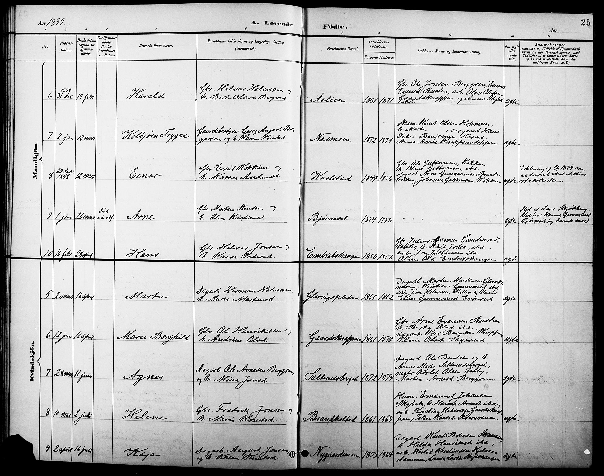 Åsnes prestekontor, AV/SAH-PREST-042/H/Ha/Hab/L0005: Parish register (copy) no. 5, 1895-1920, p. 25