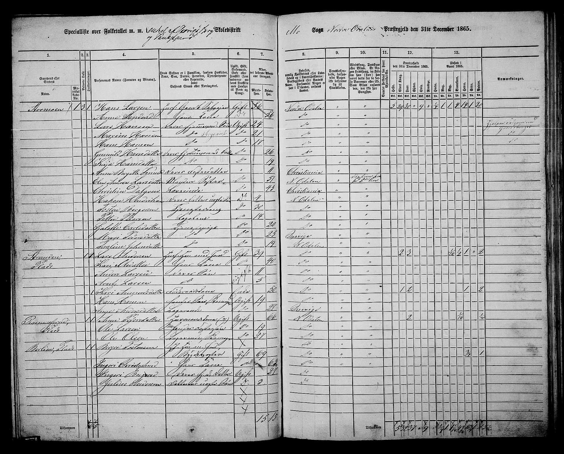 RA, 1865 census for Nord-Odal, 1865, p. 109