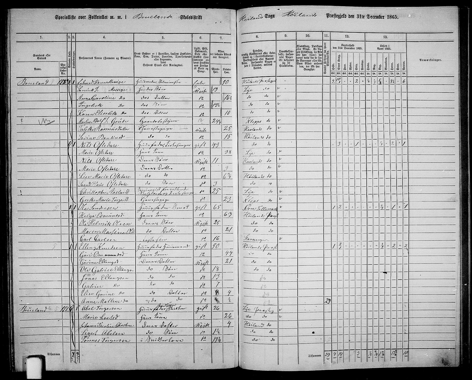 RA, 1865 census for Høyland, 1865, p. 128