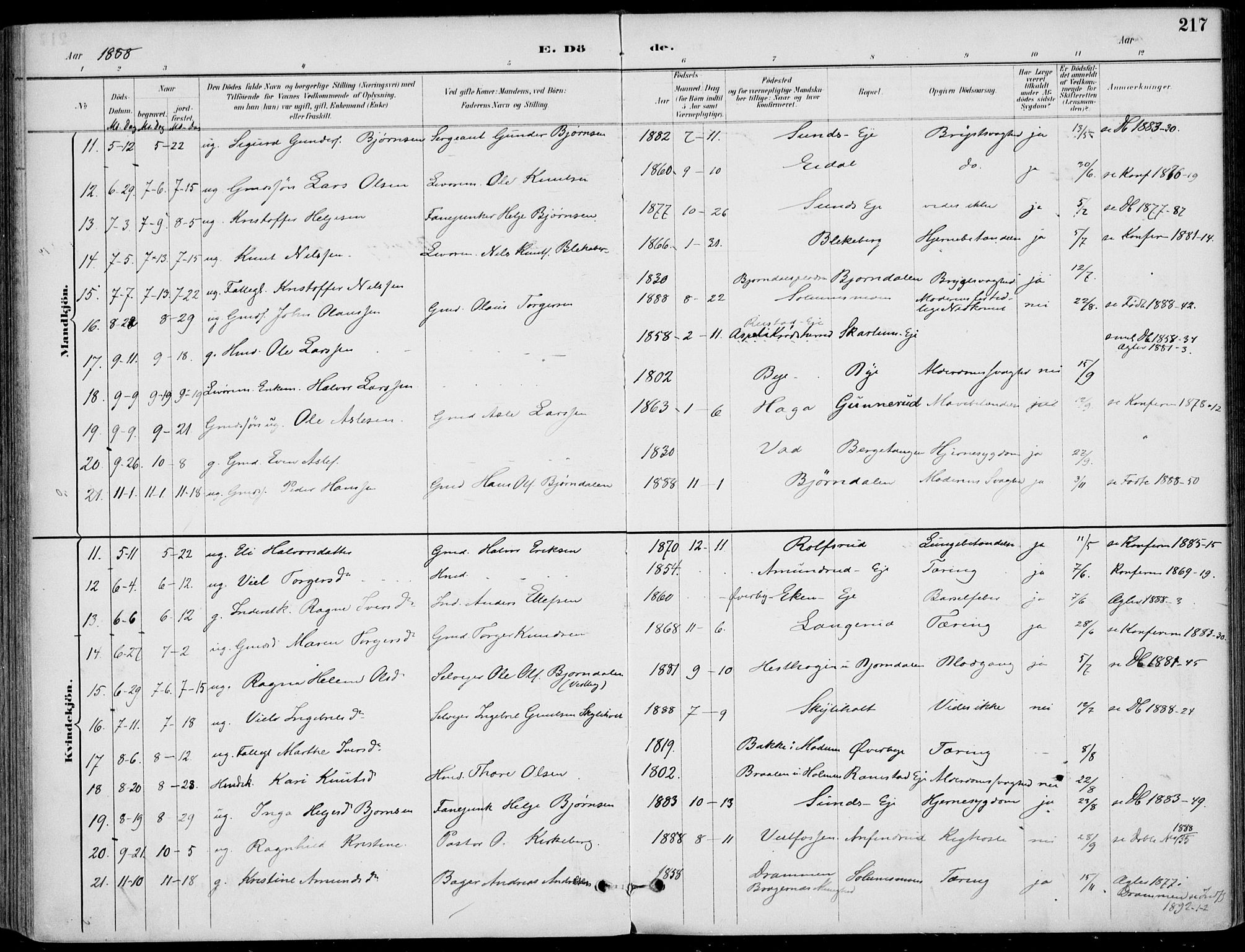 Sigdal kirkebøker, SAKO/A-245/F/Fb/L0001: Parish register (official) no. II 1, 1888-1900, p. 217