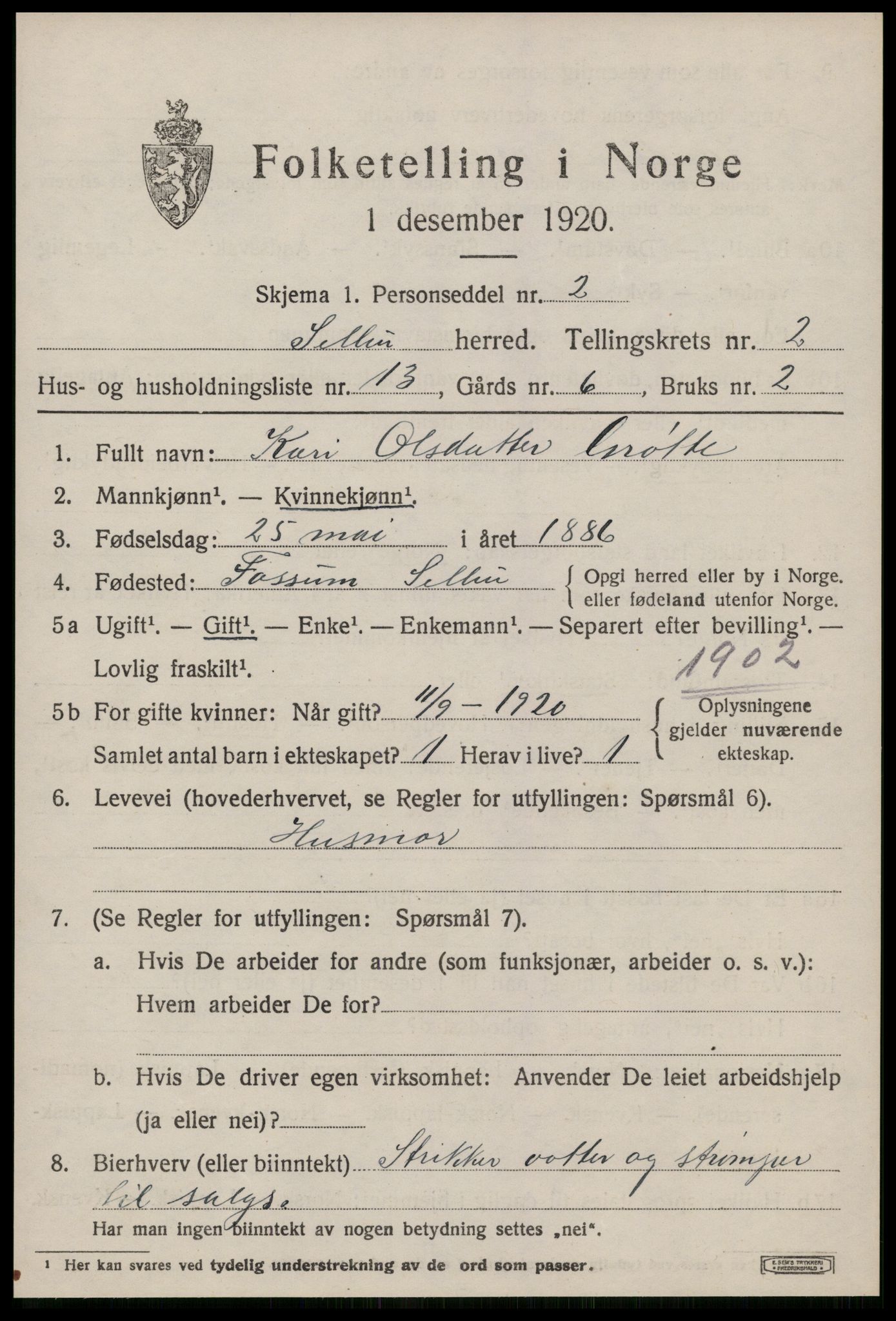 SAT, 1920 census for Selbu, 1920, p. 2058