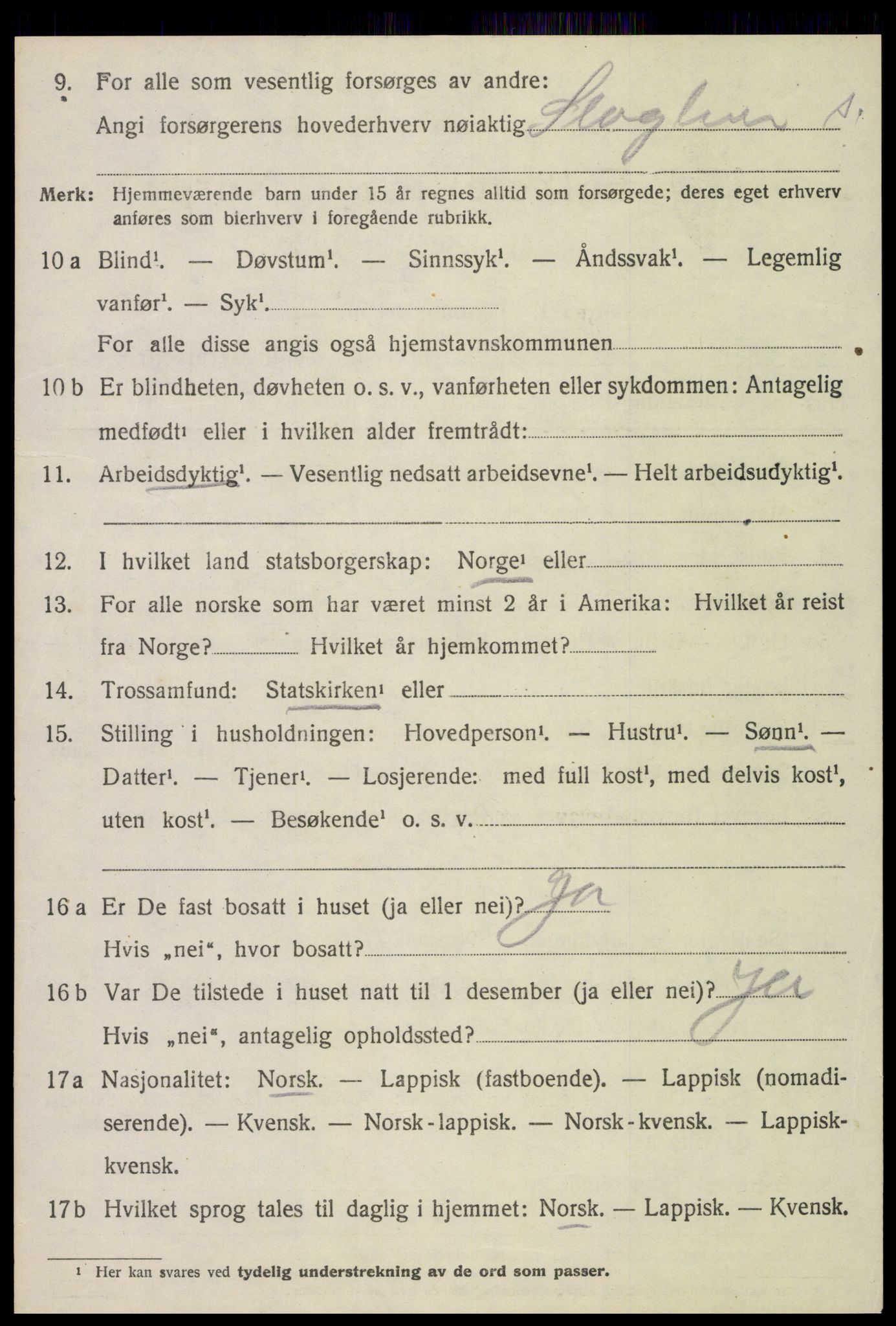 SAT, 1920 census for Stjørdal, 1920, p. 4543