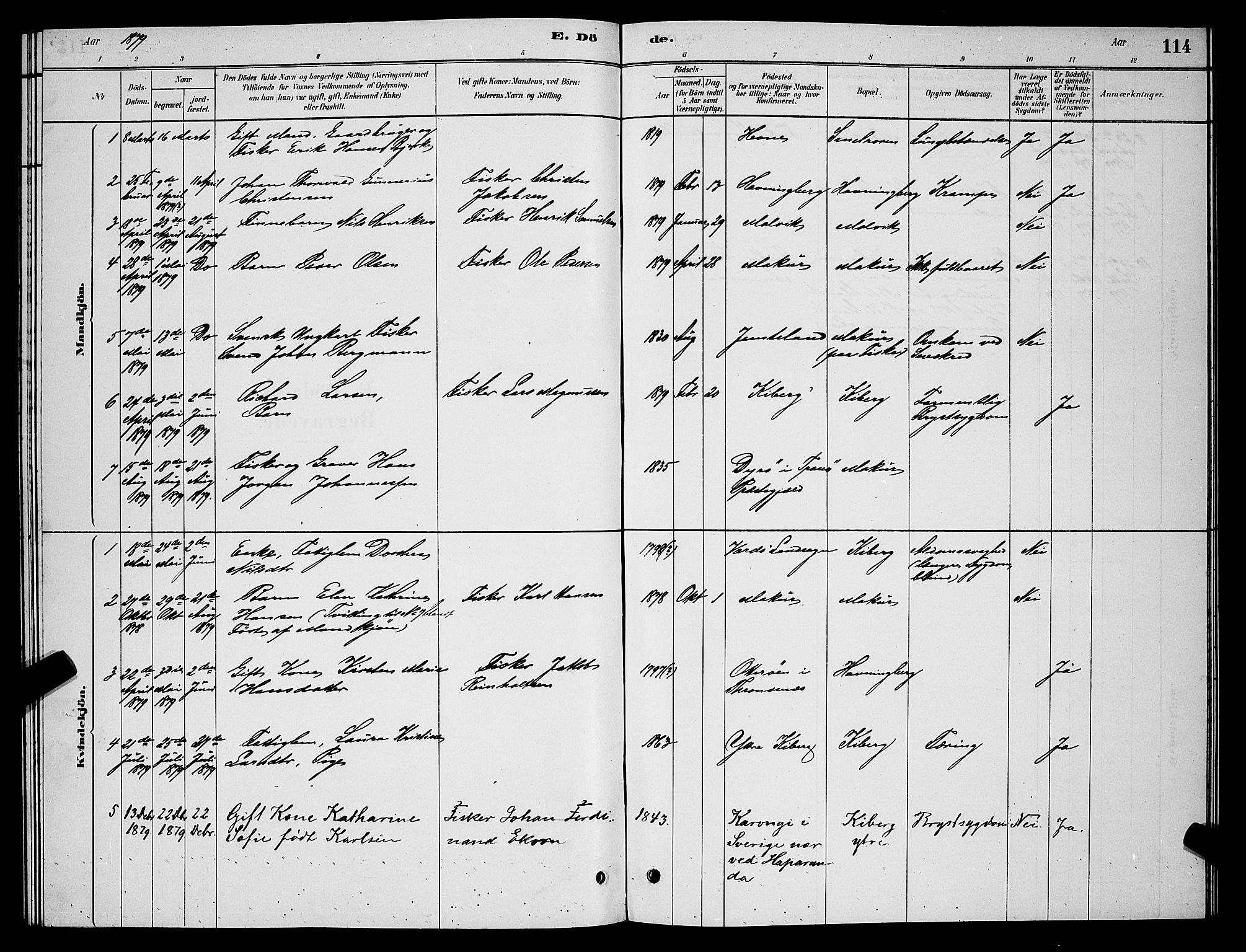 Vardø sokneprestkontor, SATØ/S-1332/H/Hb/L0006klokker: Parish register (copy) no. 6, 1879-1887, p. 114