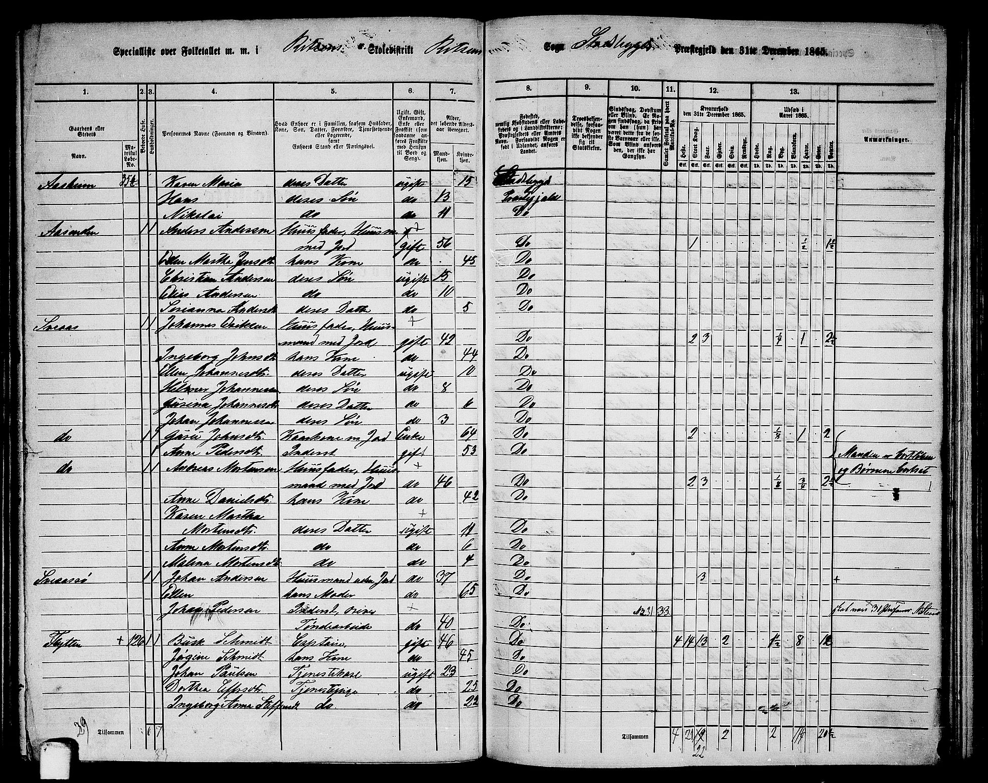 RA, 1865 census for Stadsbygd, 1865, p. 116