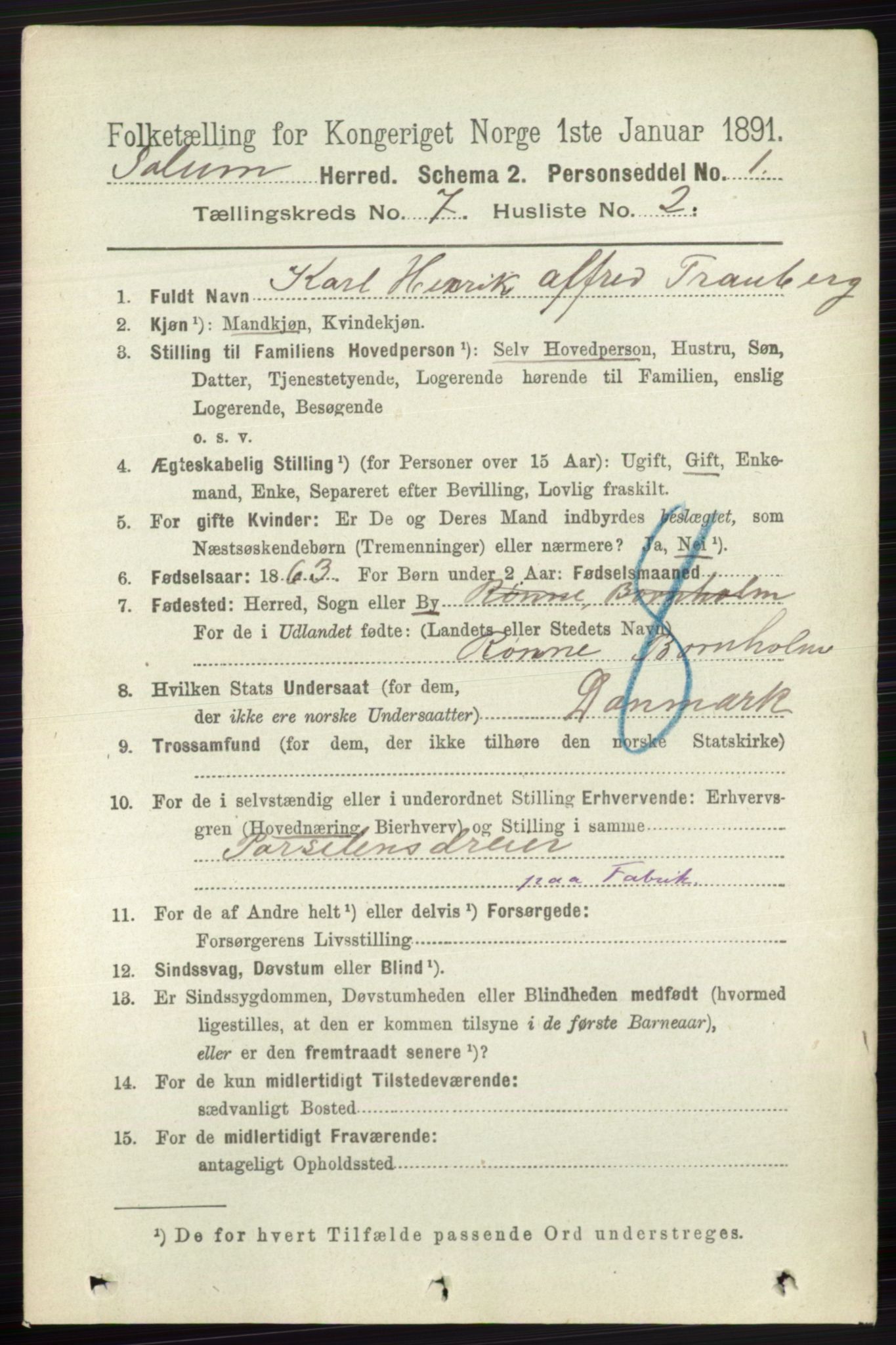 RA, 1891 census for 0818 Solum, 1891, p. 2717