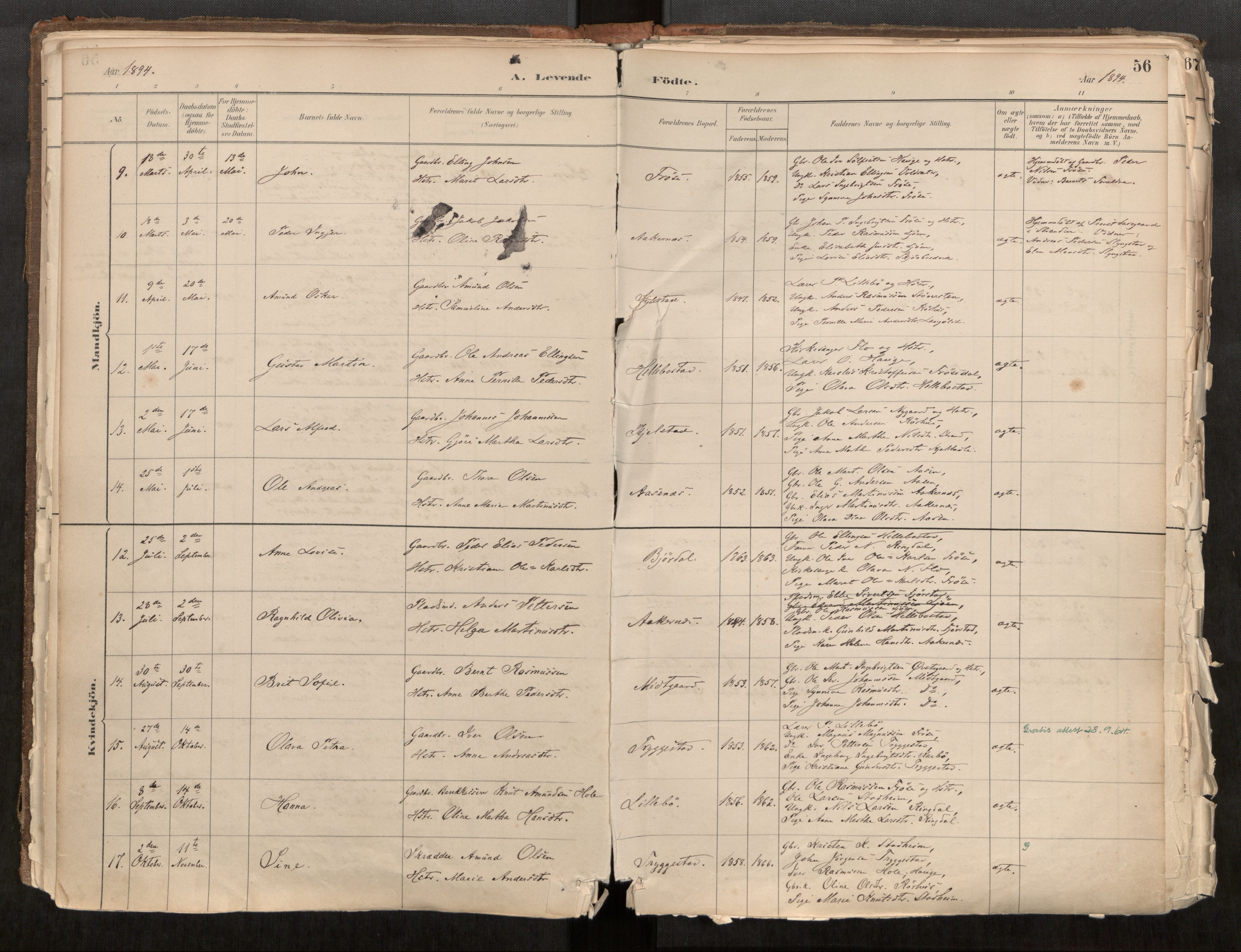 Sunnylven sokneprestkontor, AV/SAT-A-1007: Parish register (official) no. 517A08, 1882-1939, p. 56