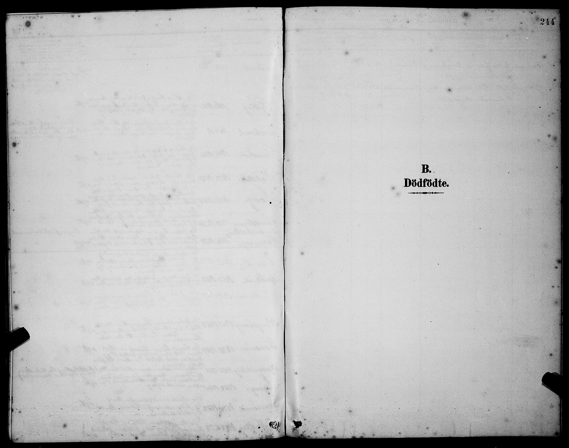 Ministerialprotokoller, klokkerbøker og fødselsregistre - Møre og Romsdal, AV/SAT-A-1454/528/L0431: Parish register (copy) no. 528C12, 1885-1898, p. 244