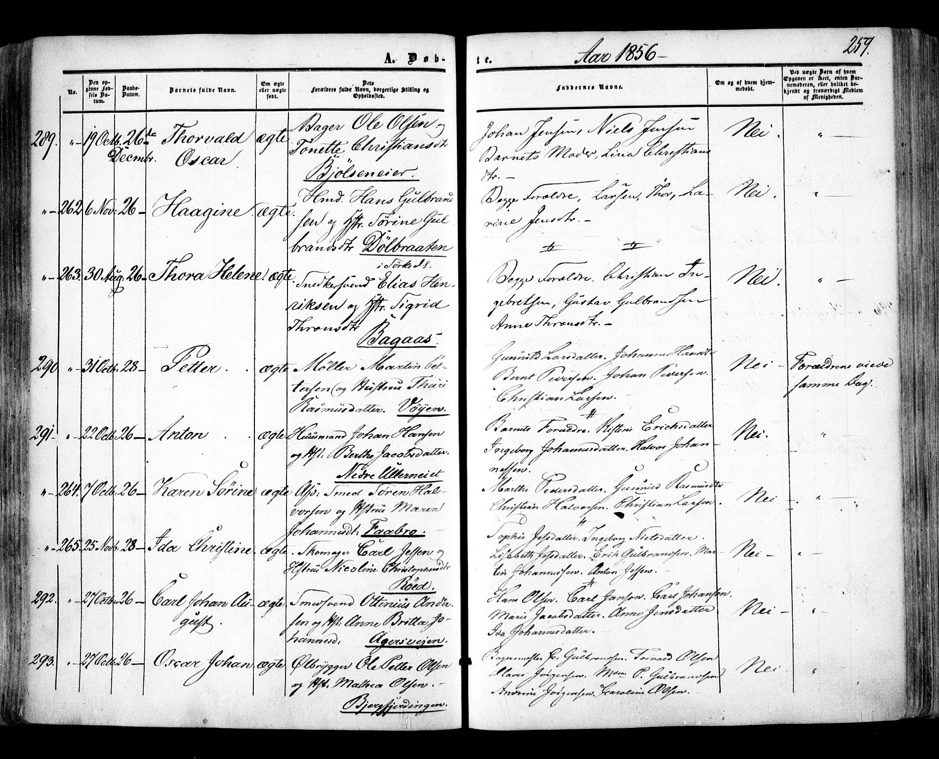 Aker prestekontor kirkebøker, AV/SAO-A-10861/F/L0020: Parish register (official) no. 20, 1853-1857, p. 259