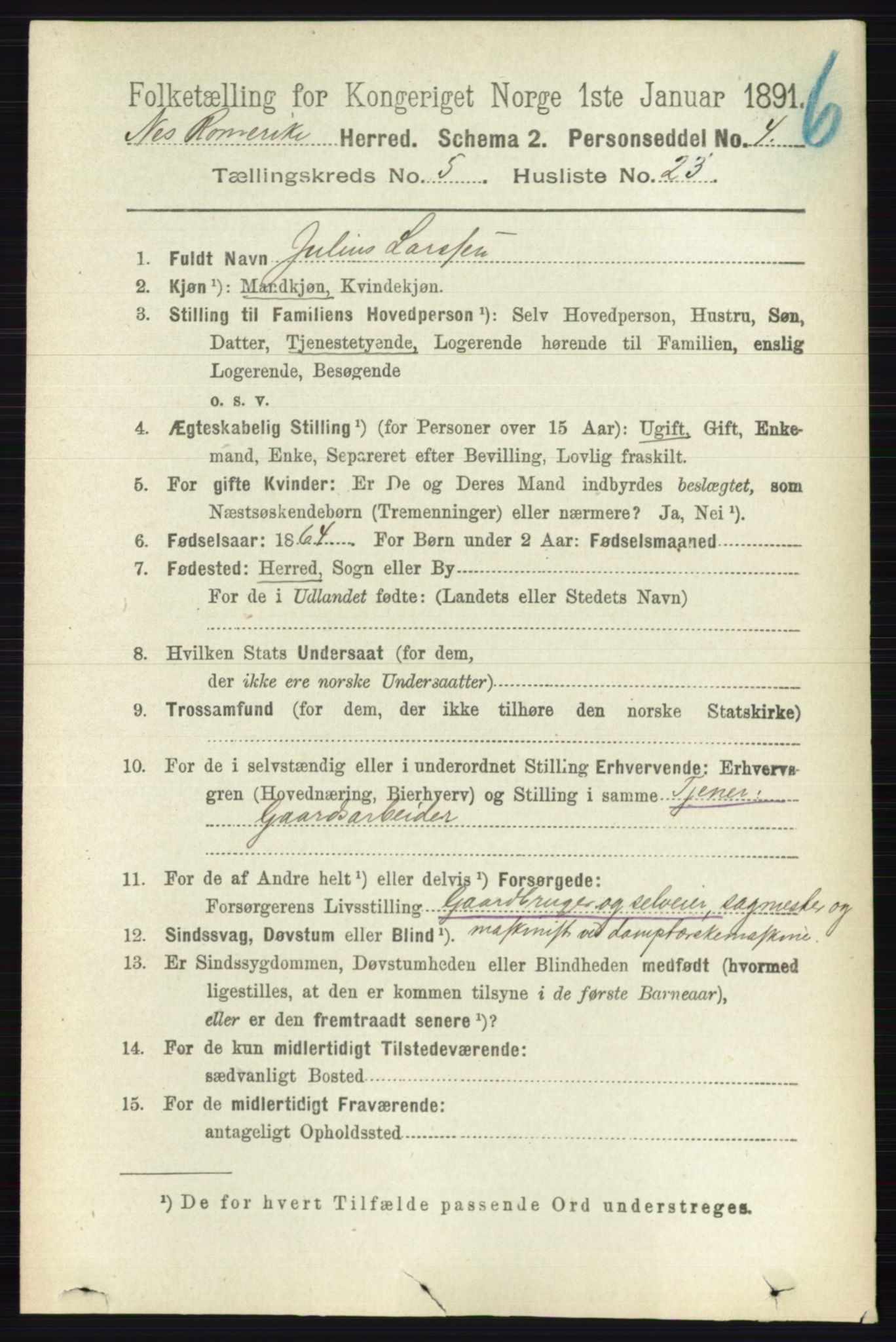 RA, 1891 census for 0236 Nes, 1891, p. 2919