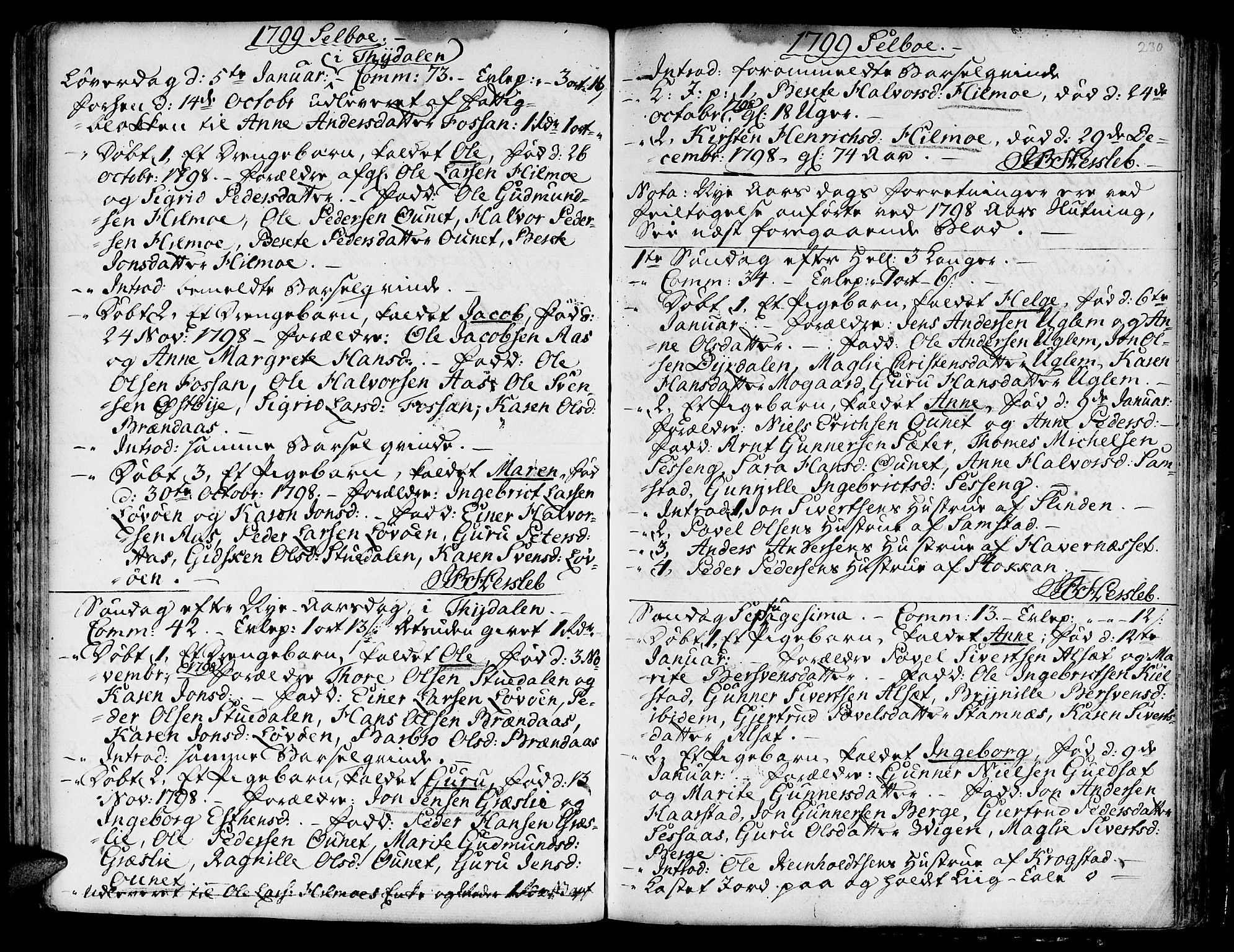 Ministerialprotokoller, klokkerbøker og fødselsregistre - Sør-Trøndelag, AV/SAT-A-1456/695/L1138: Parish register (official) no. 695A02 /1, 1757-1801, p. 230