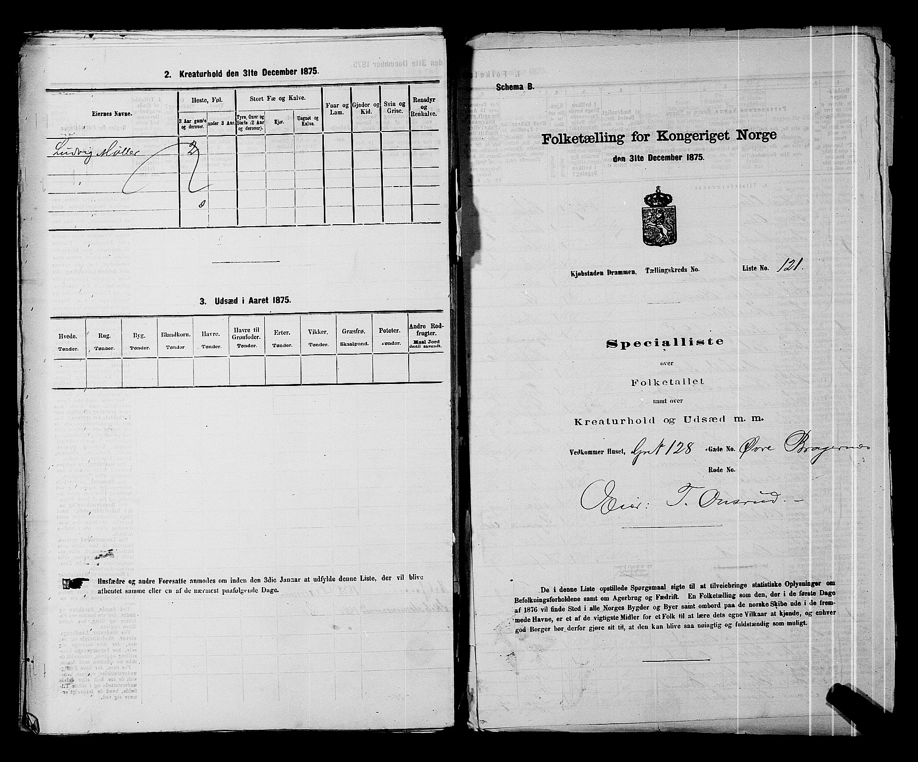 SAKO, 1875 census for 0602 Drammen, 1875, p. 381