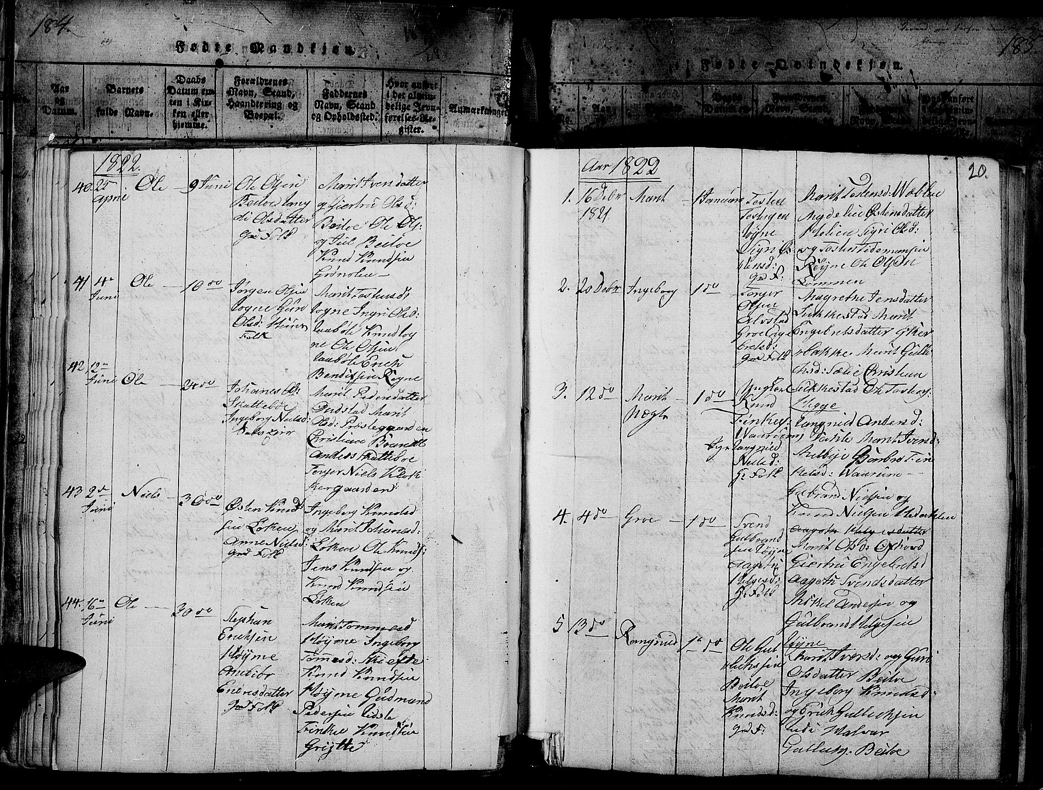 Slidre prestekontor, SAH/PREST-134/H/Ha/Haa/L0002: Parish register (official) no. 2, 1814-1830, p. 184t