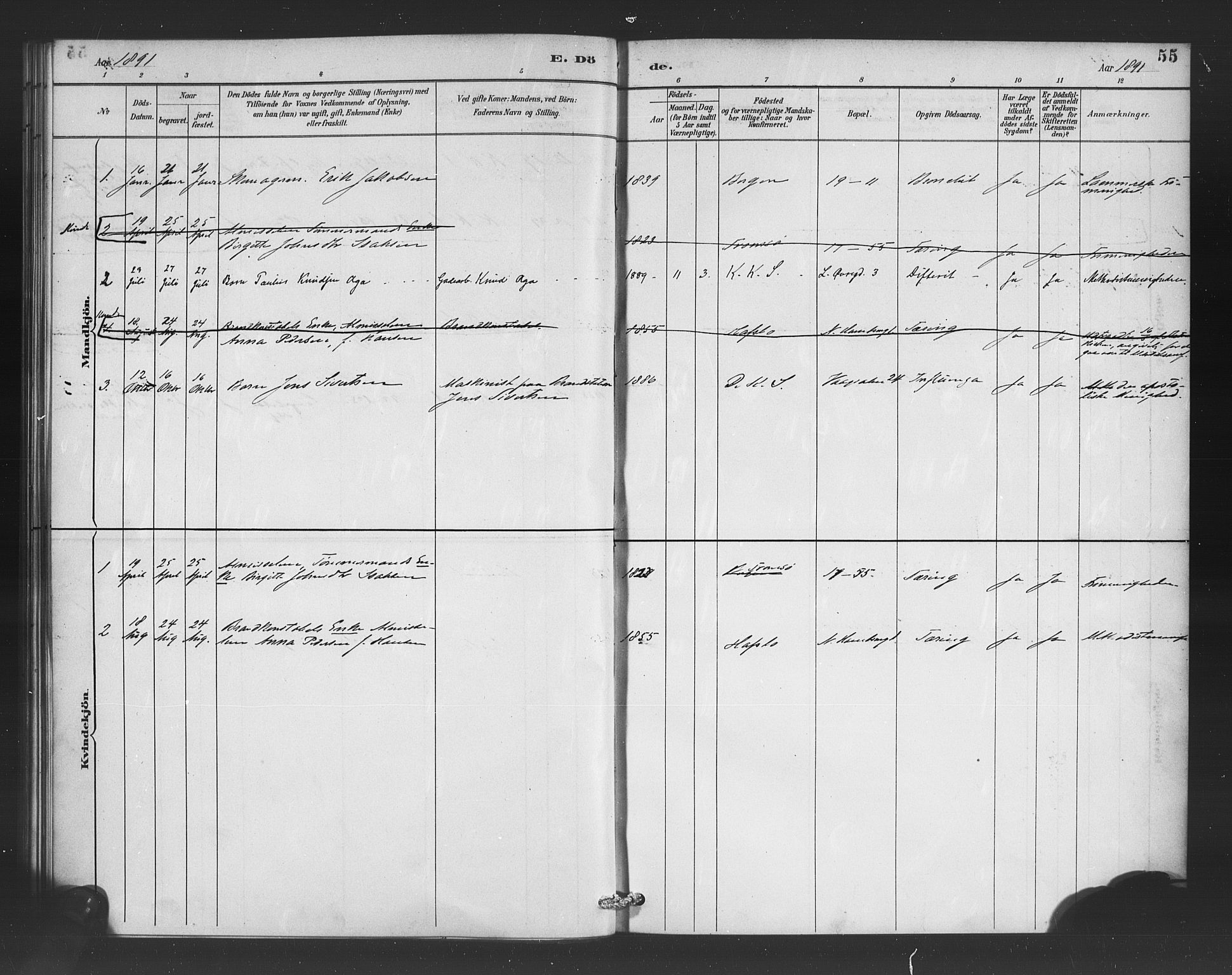 Korskirken sokneprestembete, SAB/A-76101/H/Haa/L0052: Parish register (official) no. G 2, 1887-1899, p. 55