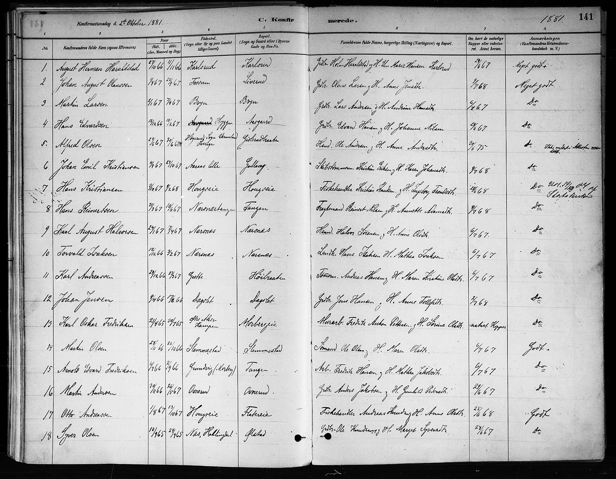 Røyken kirkebøker, SAKO/A-241/F/Fa/L0008: Parish register (official) no. 8, 1880-1897, p. 141