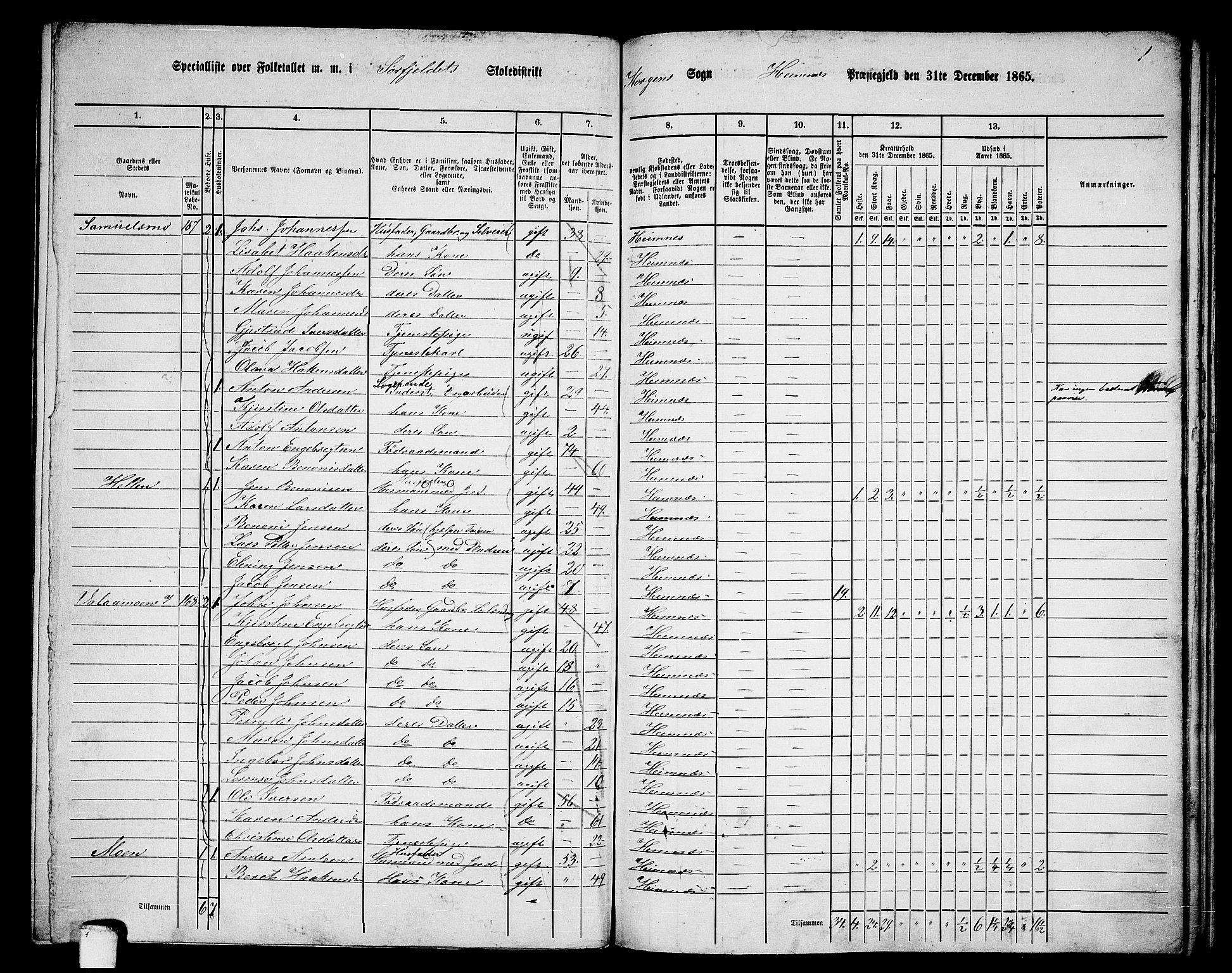 RA, 1865 census for Hemnes, 1865, p. 129