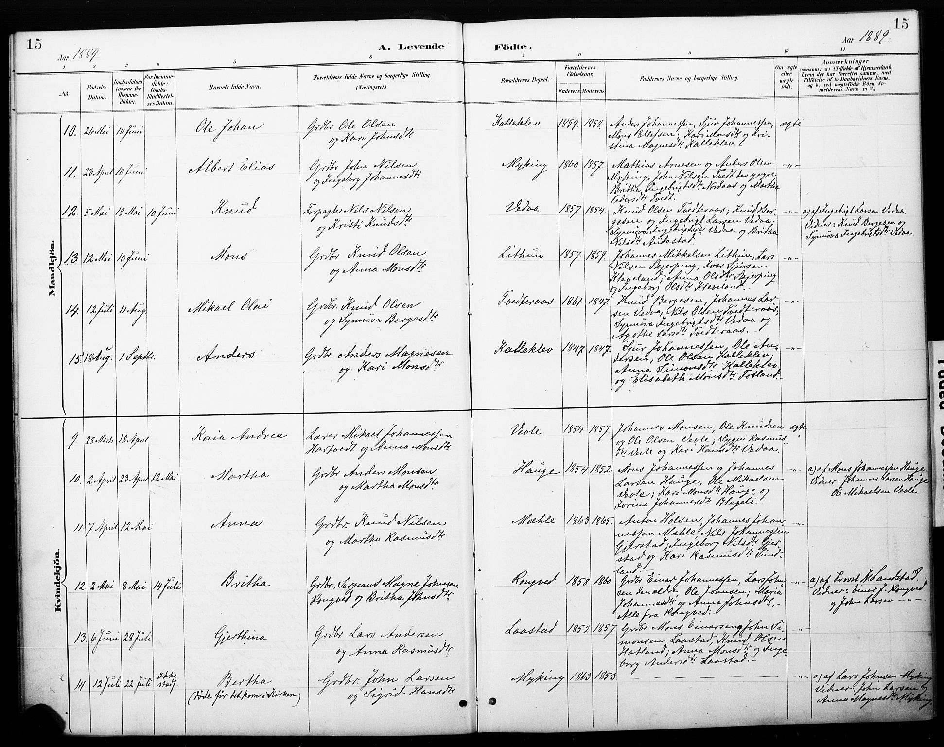 Haus sokneprestembete, SAB/A-75601/H/Haa: Parish register (official) no. C 1, 1887-1899, p. 15