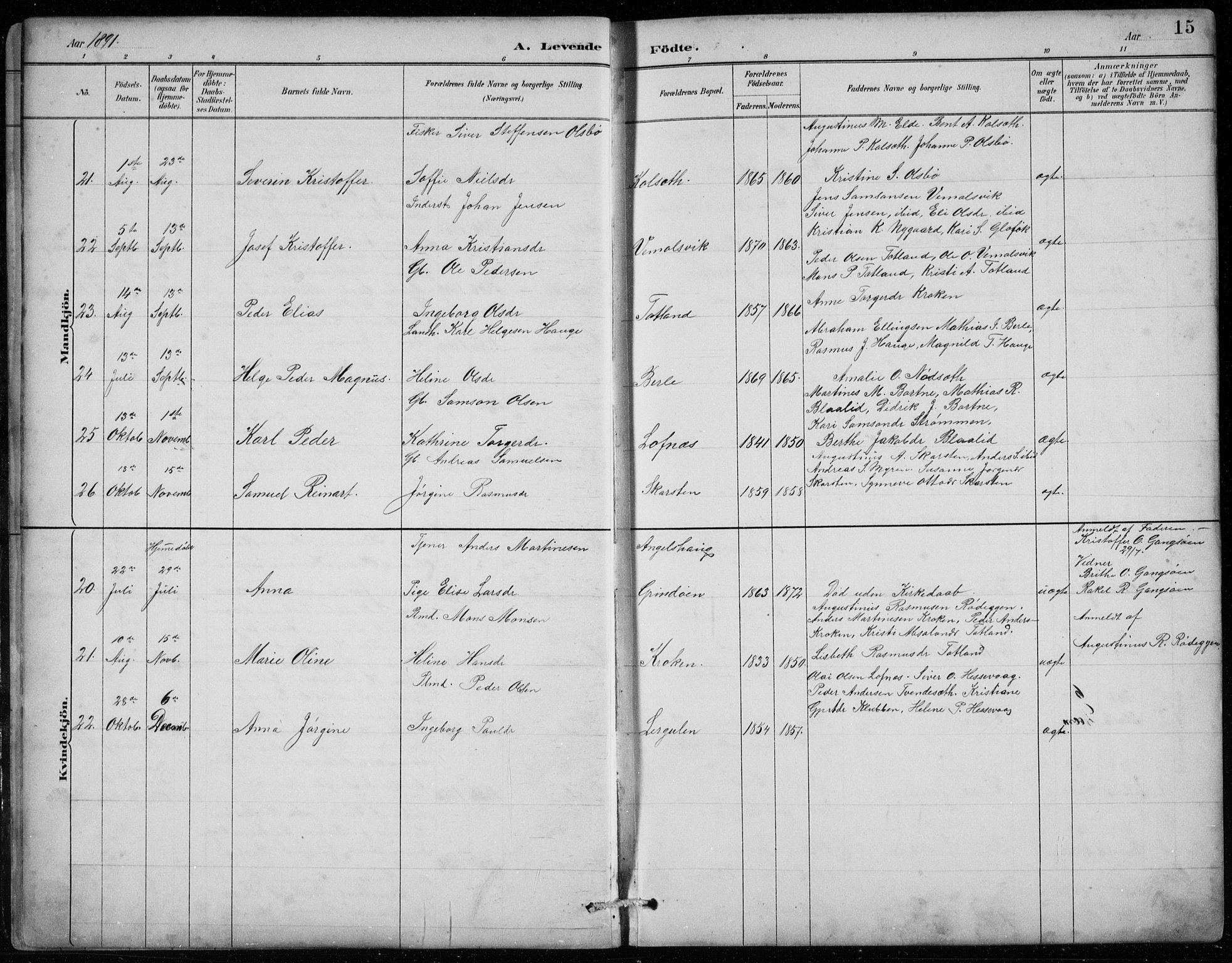 Davik sokneprestembete, AV/SAB-A-79701/H/Hab/Habc/L0002: Parish register (copy) no. C 2, 1889-1906, p. 15