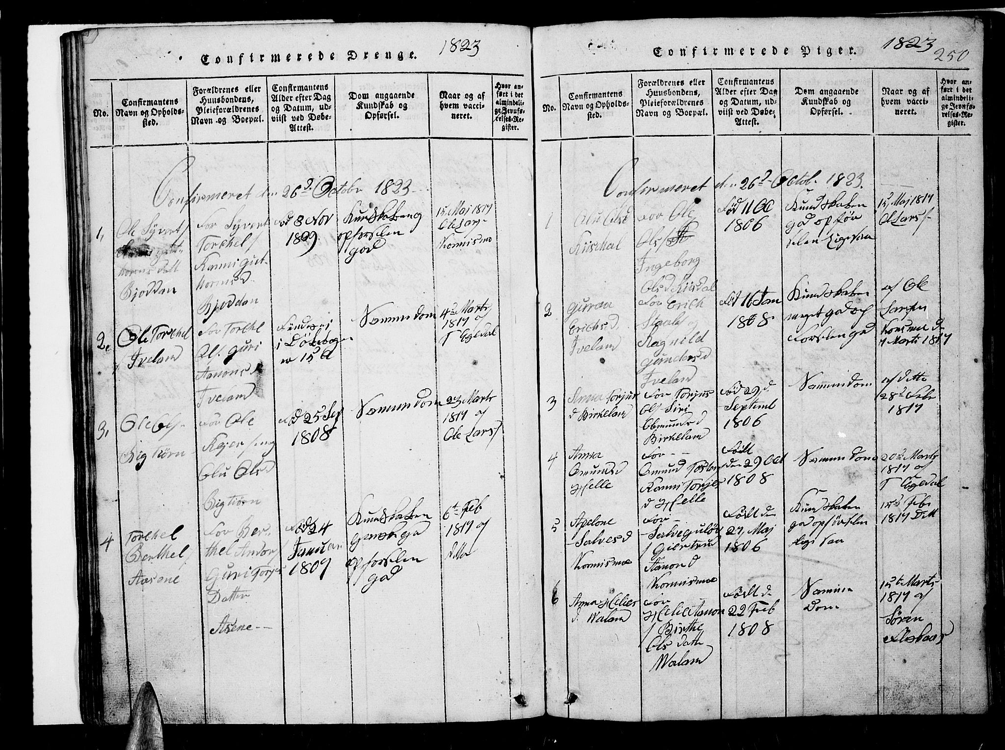 Nord-Audnedal sokneprestkontor, AV/SAK-1111-0032/F/Fb/Fba/L0001: Parish register (copy) no. B 1, 1815-1856, p. 250