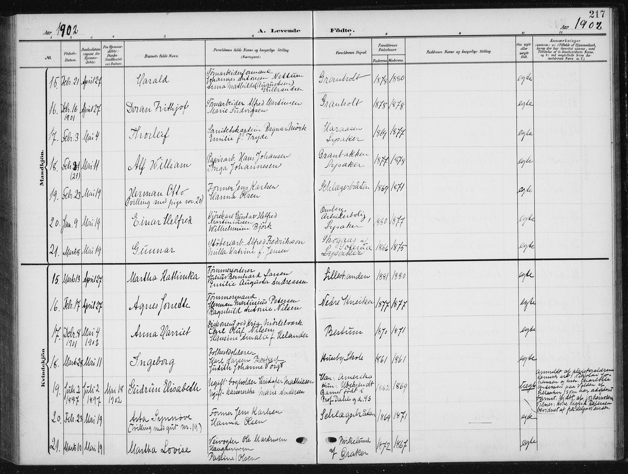 Vestre Aker prestekontor Kirkebøker, SAO/A-10025/F/Fb/L0001: Parish register (official) no. II 1, 1880-1906, p. 217