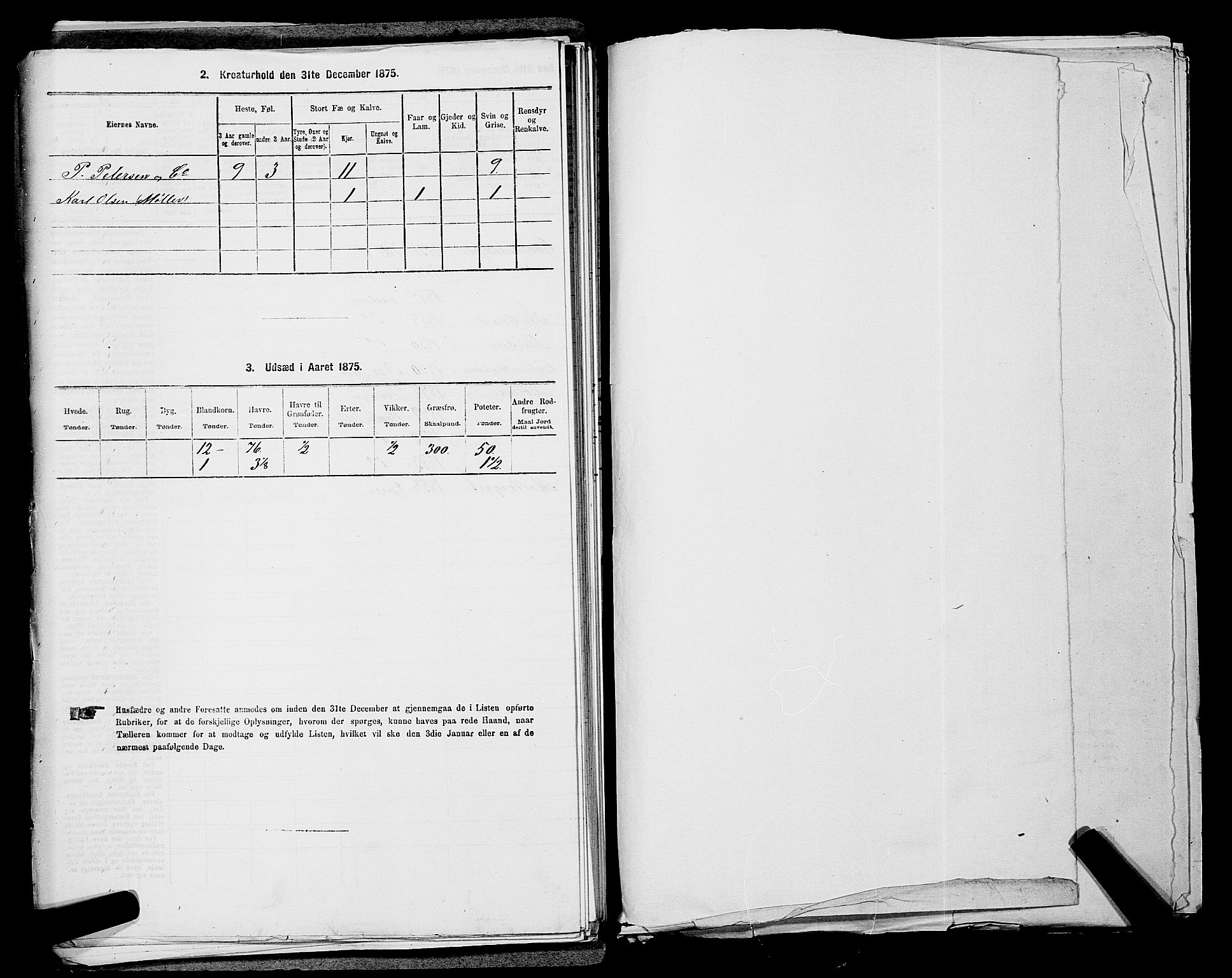 RA, 1875 census for 0237P Eidsvoll, 1875, p. 1070