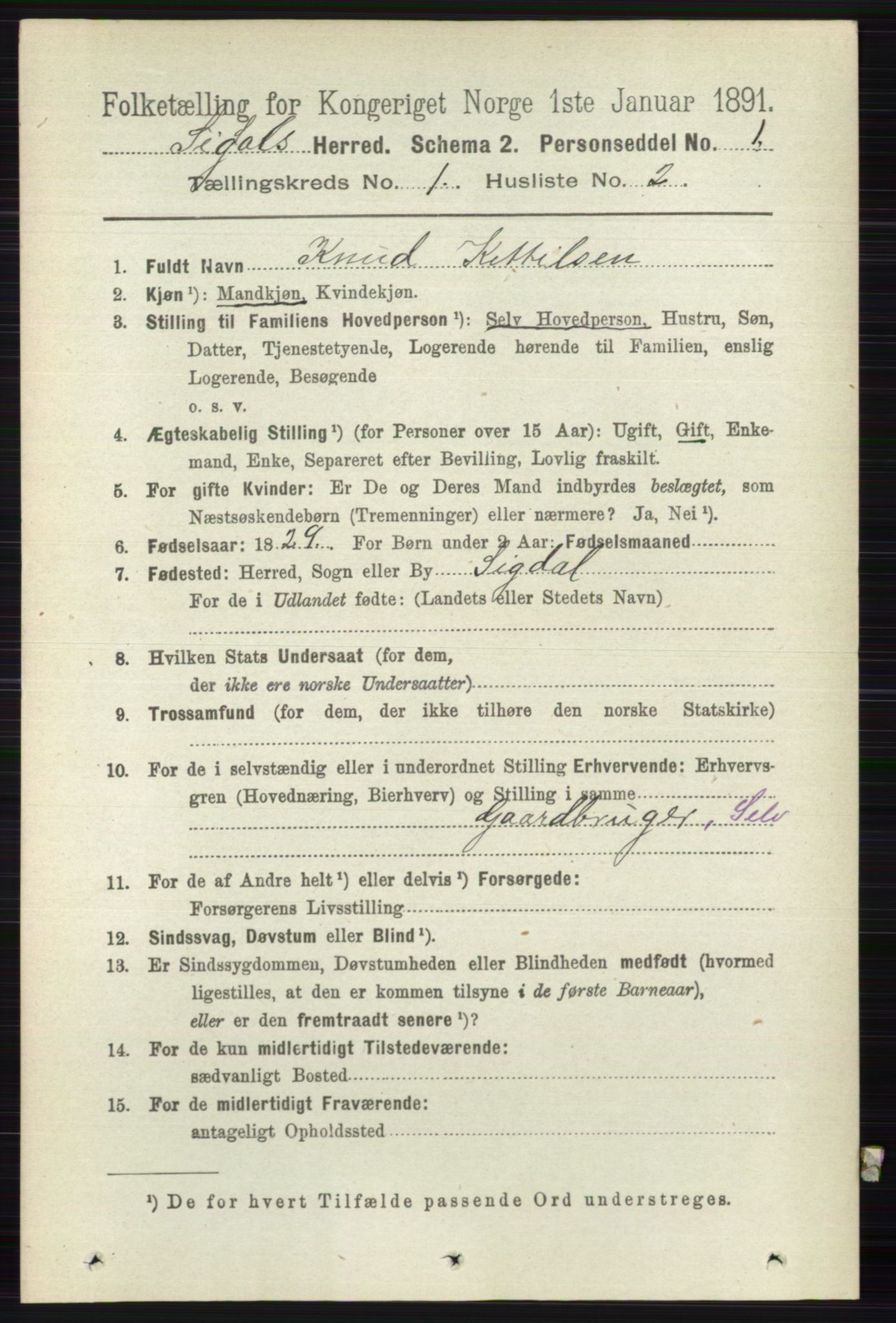 RA, 1891 census for 0621 Sigdal, 1891, p. 191