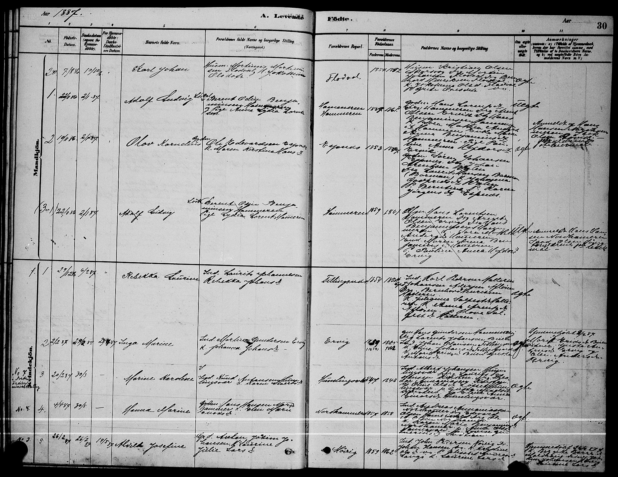 Ministerialprotokoller, klokkerbøker og fødselsregistre - Sør-Trøndelag, AV/SAT-A-1456/641/L0597: Parish register (copy) no. 641C01, 1878-1893, p. 30