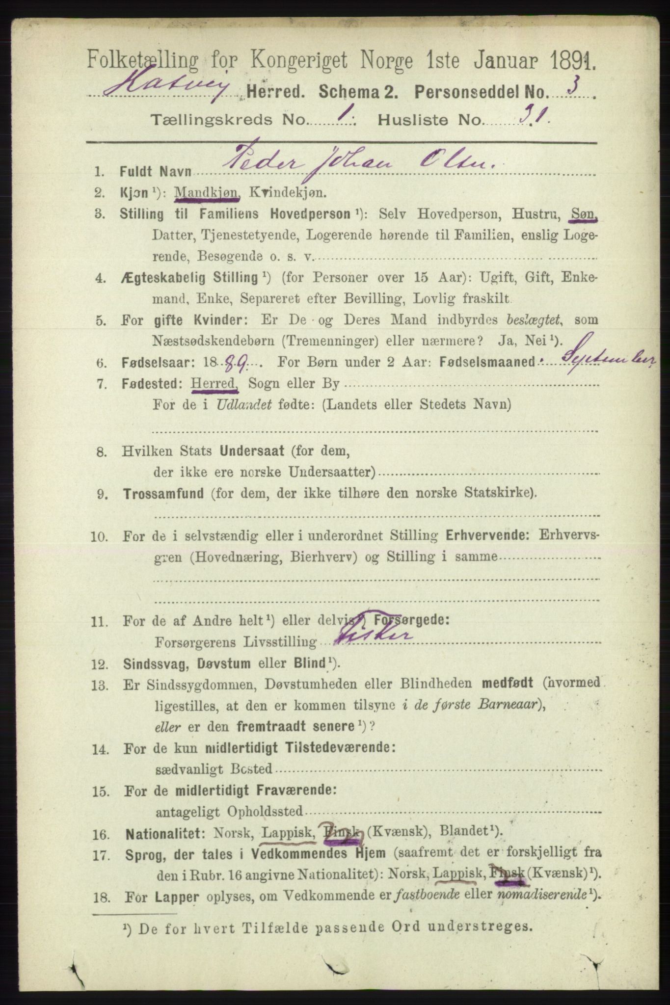 RA, 1891 census for 2015 Hasvik, 1891, p. 250