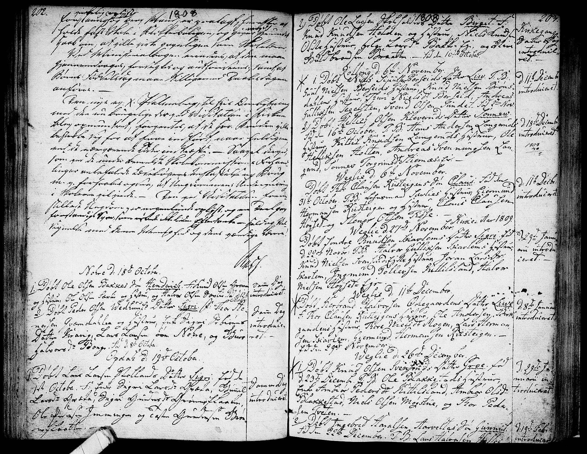 Rollag kirkebøker, SAKO/A-240/F/Fa/L0005: Parish register (official) no. I 5, 1792-1814, p. 202-203