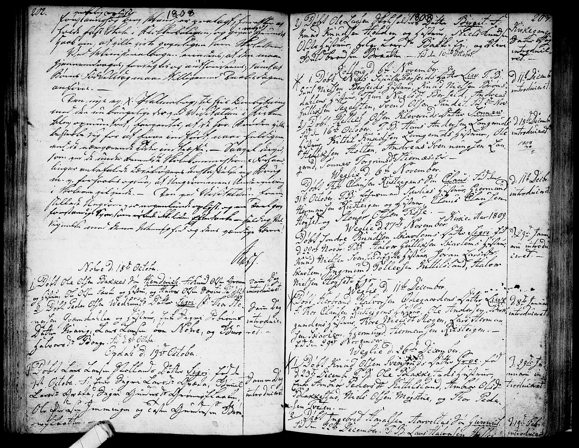 Rollag kirkebøker, AV/SAKO-A-240/F/Fa/L0005: Parish register (official) no. I 5, 1792-1814, p. 202-203