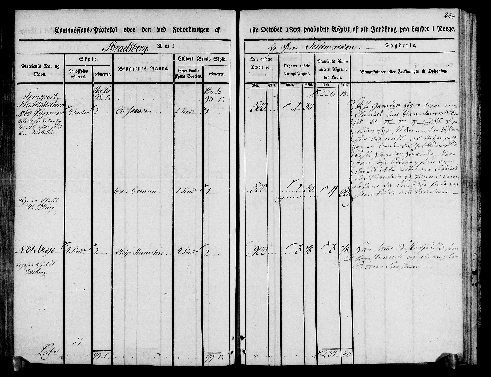 Rentekammeret inntil 1814, Realistisk ordnet avdeling, AV/RA-EA-4070/N/Ne/Nea/L0074: Øvre Telemarken fogderi. Kommisjonsprotokoll for fogderiets østre del - Tinn, Hjartdal og Seljord prestegjeld., 1803, p. 246