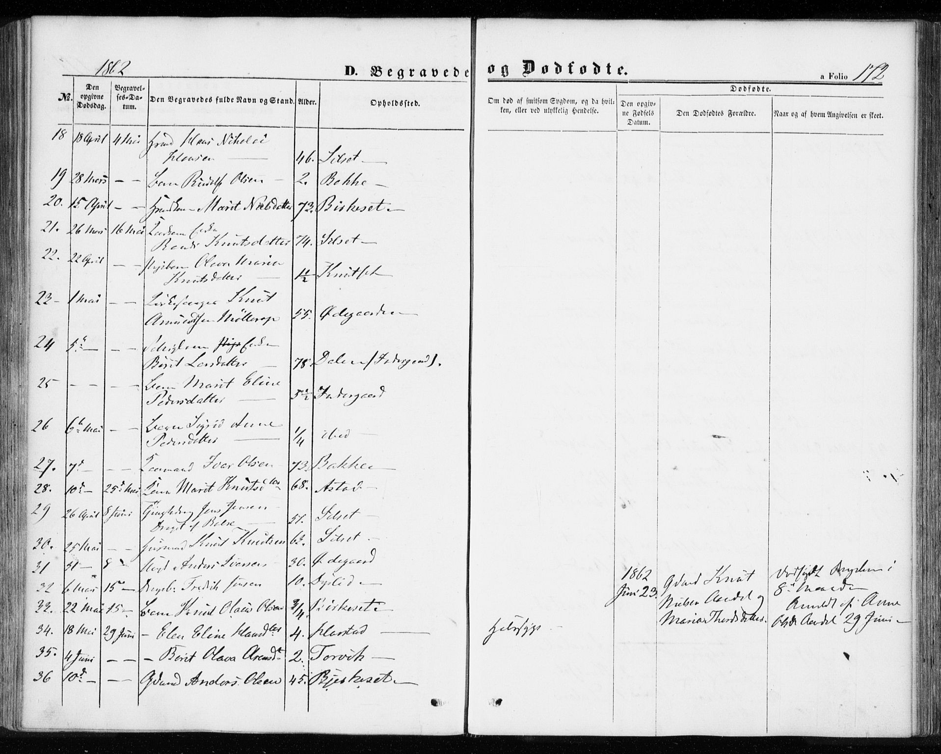 Ministerialprotokoller, klokkerbøker og fødselsregistre - Møre og Romsdal, AV/SAT-A-1454/584/L0965: Parish register (official) no. 584A05, 1857-1868, p. 172