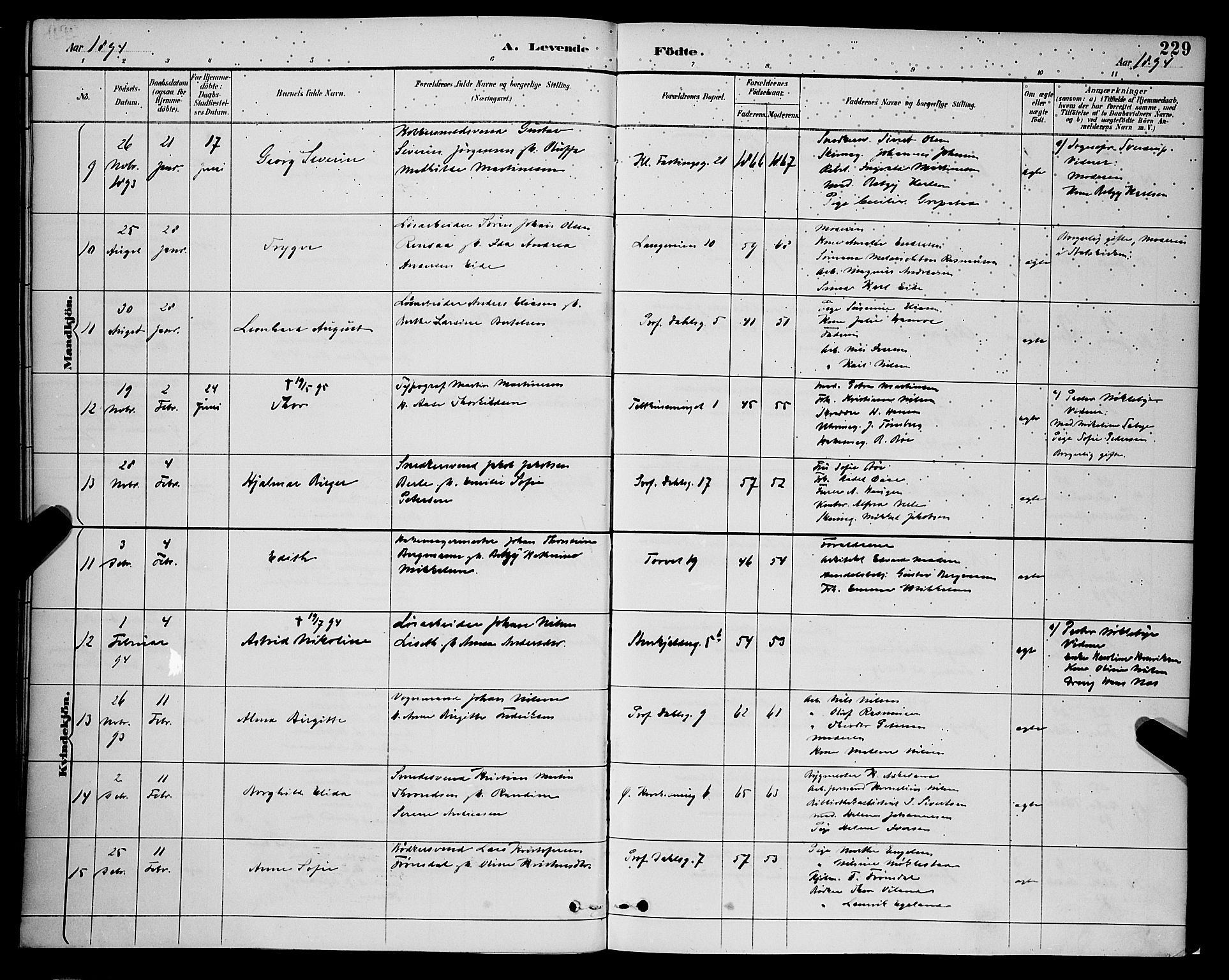 Korskirken sokneprestembete, AV/SAB-A-76101/H/Hab: Parish register (copy) no. B 9, 1887-1896, p. 229