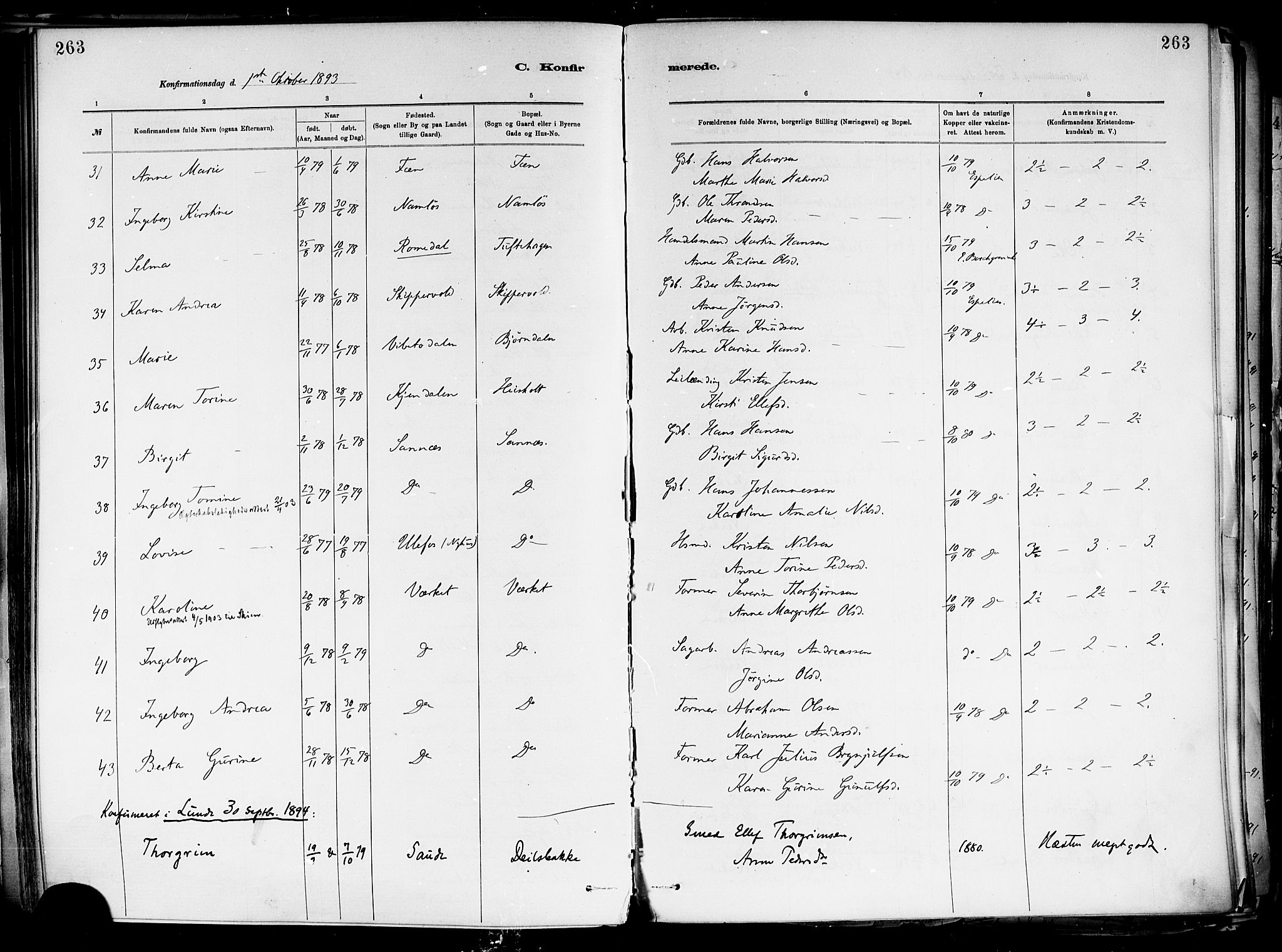 Holla kirkebøker, SAKO/A-272/F/Fa/L0008: Parish register (official) no. 8, 1882-1897, p. 263