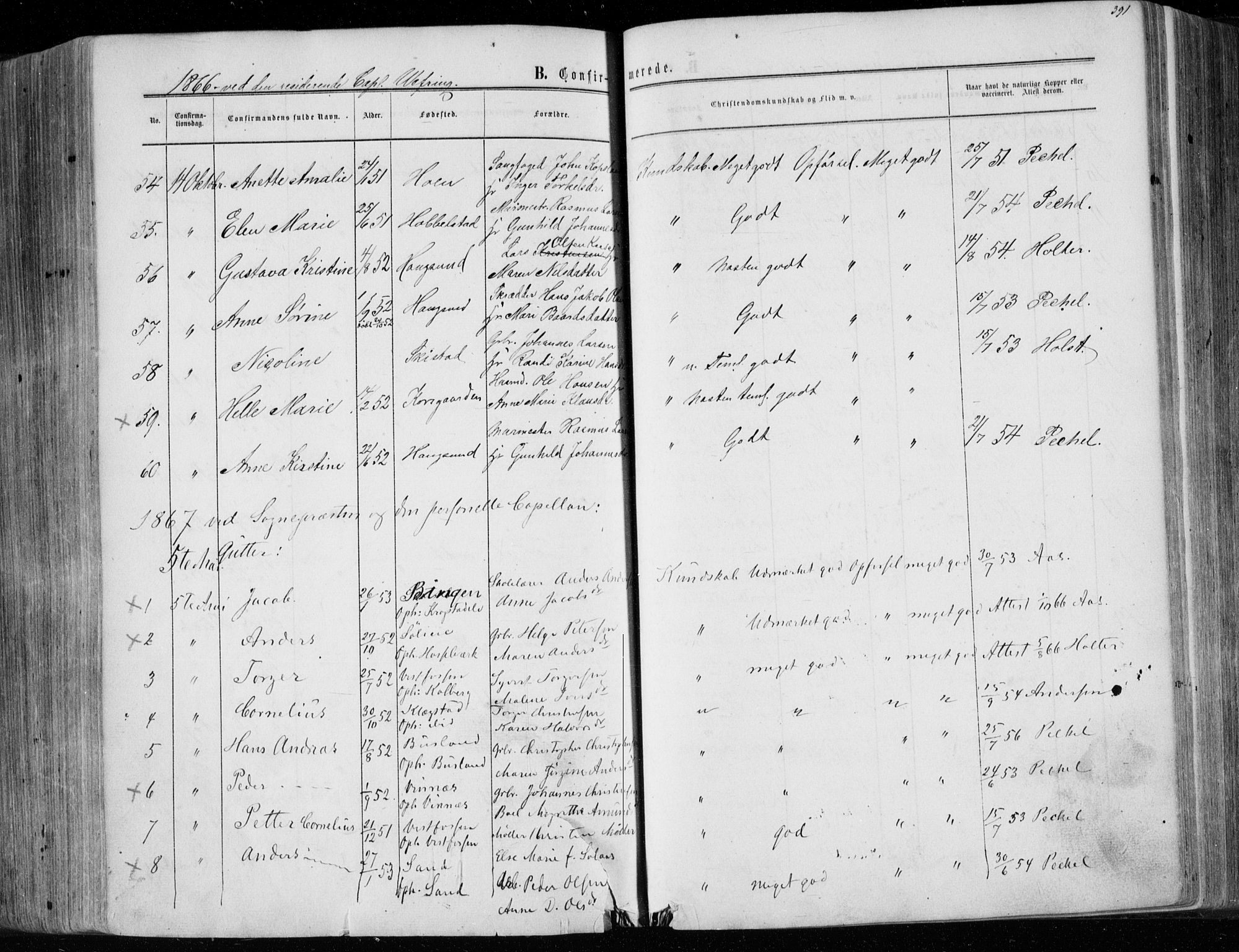 Eiker kirkebøker, SAKO/A-4/F/Fa/L0016: Parish register (official) no. I 16, 1860-1868, p. 391