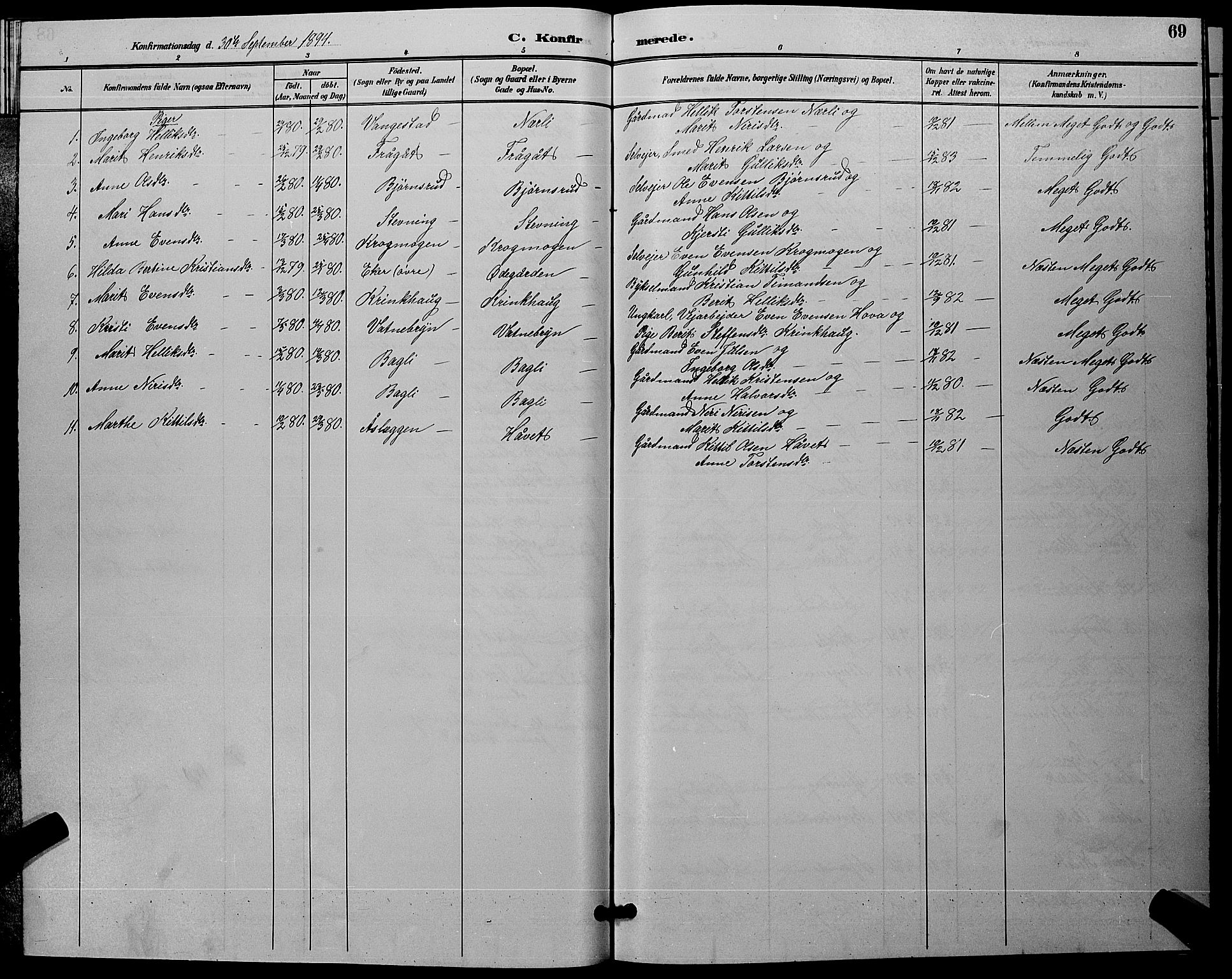 Flesberg kirkebøker, AV/SAKO-A-18/G/Ga/L0004: Parish register (copy) no. I 4 /1, 1890-1898, p. 69