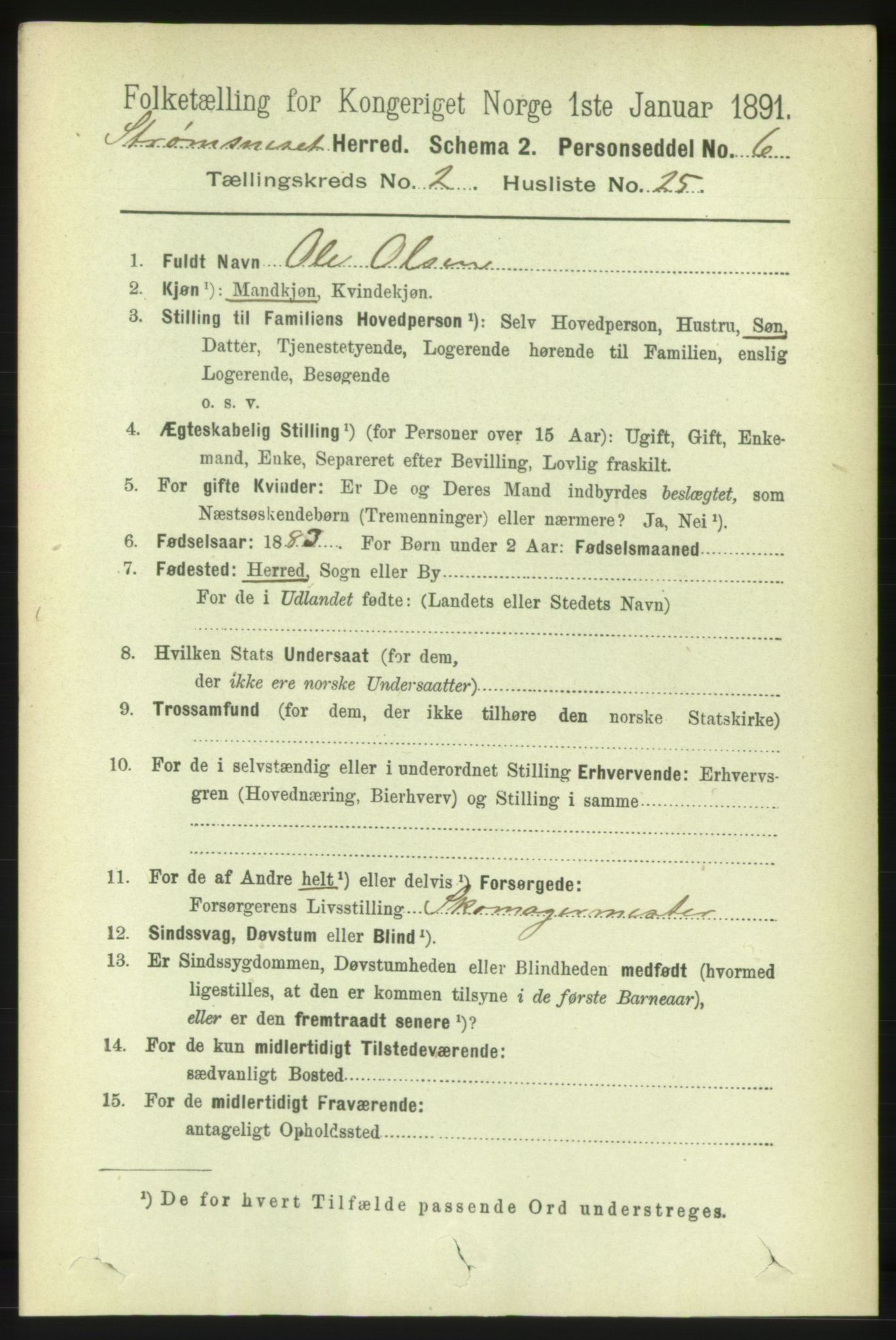 RA, 1891 census for 1559 Straumsnes, 1891, p. 413