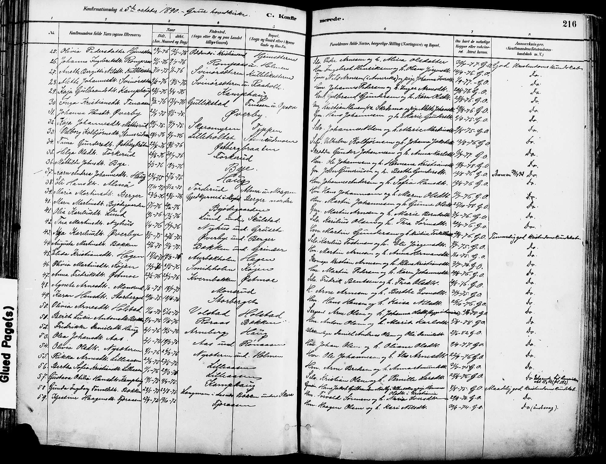 Grue prestekontor, SAH/PREST-036/H/Ha/Haa/L0012: Parish register (official) no. 12, 1881-1897, p. 216