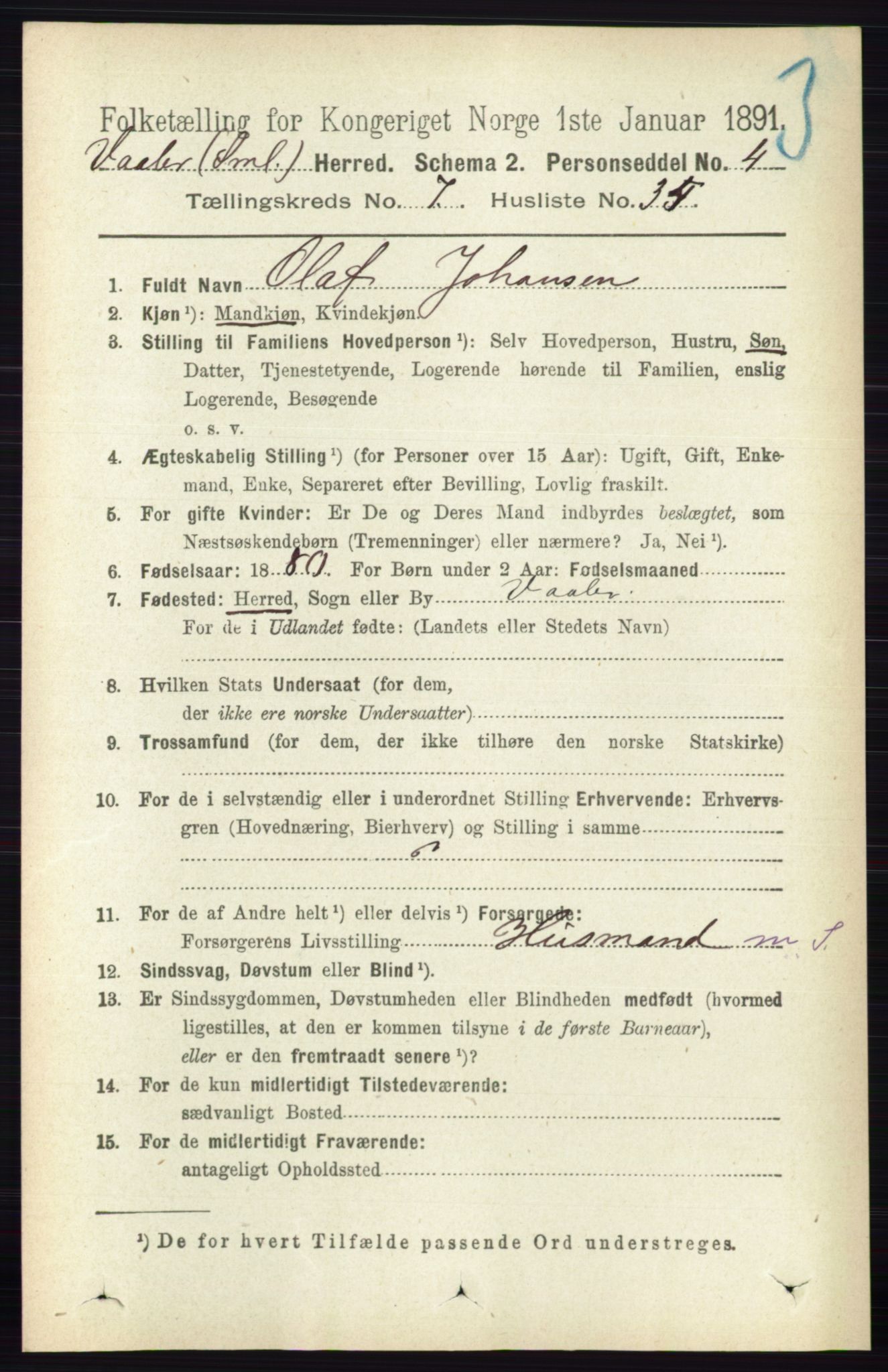 RA, 1891 census for 0137 Våler, 1891, p. 3062