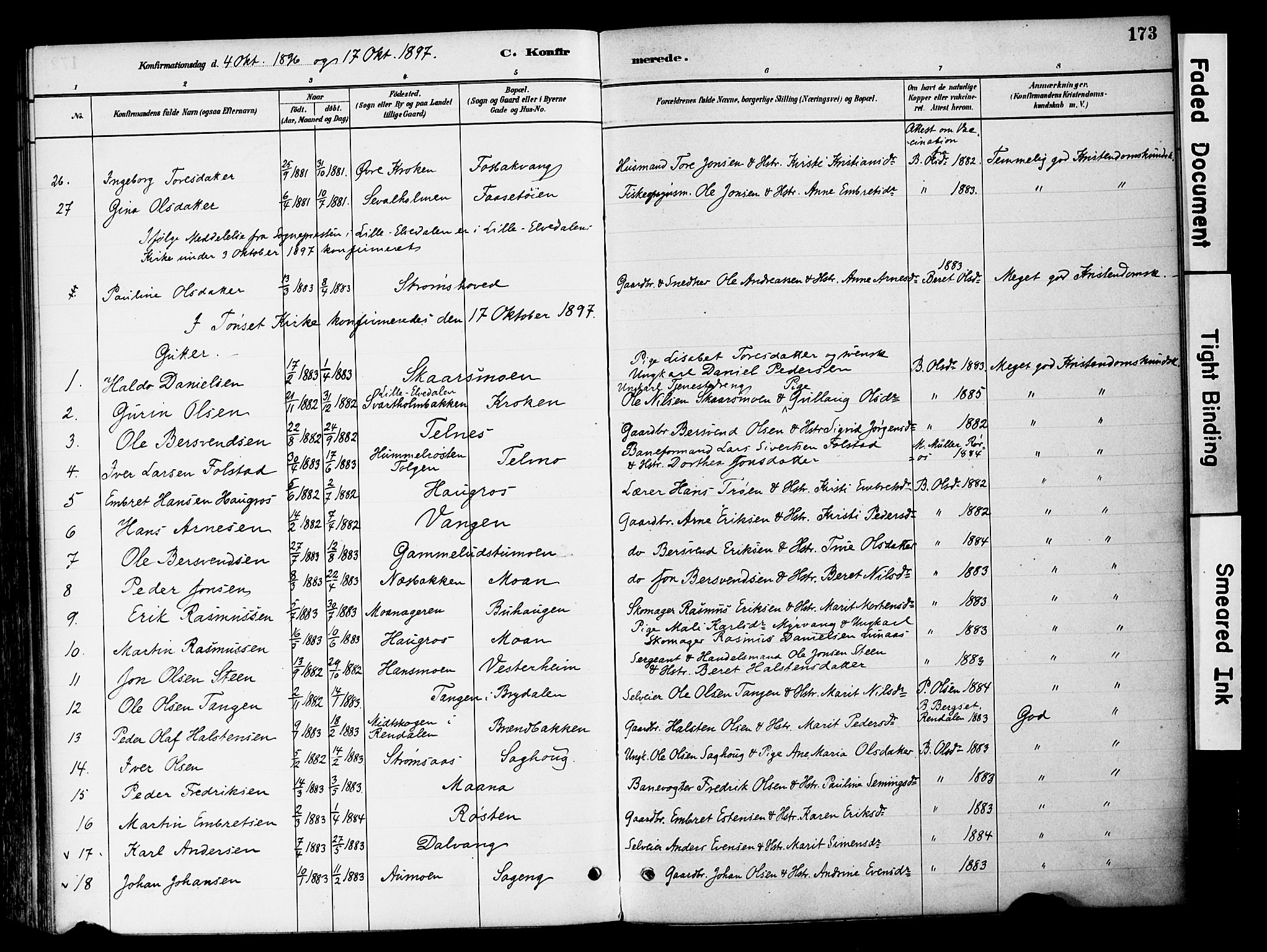 Tynset prestekontor, SAH/PREST-058/H/Ha/Haa/L0022: Parish register (official) no. 22, 1880-1899, p. 173