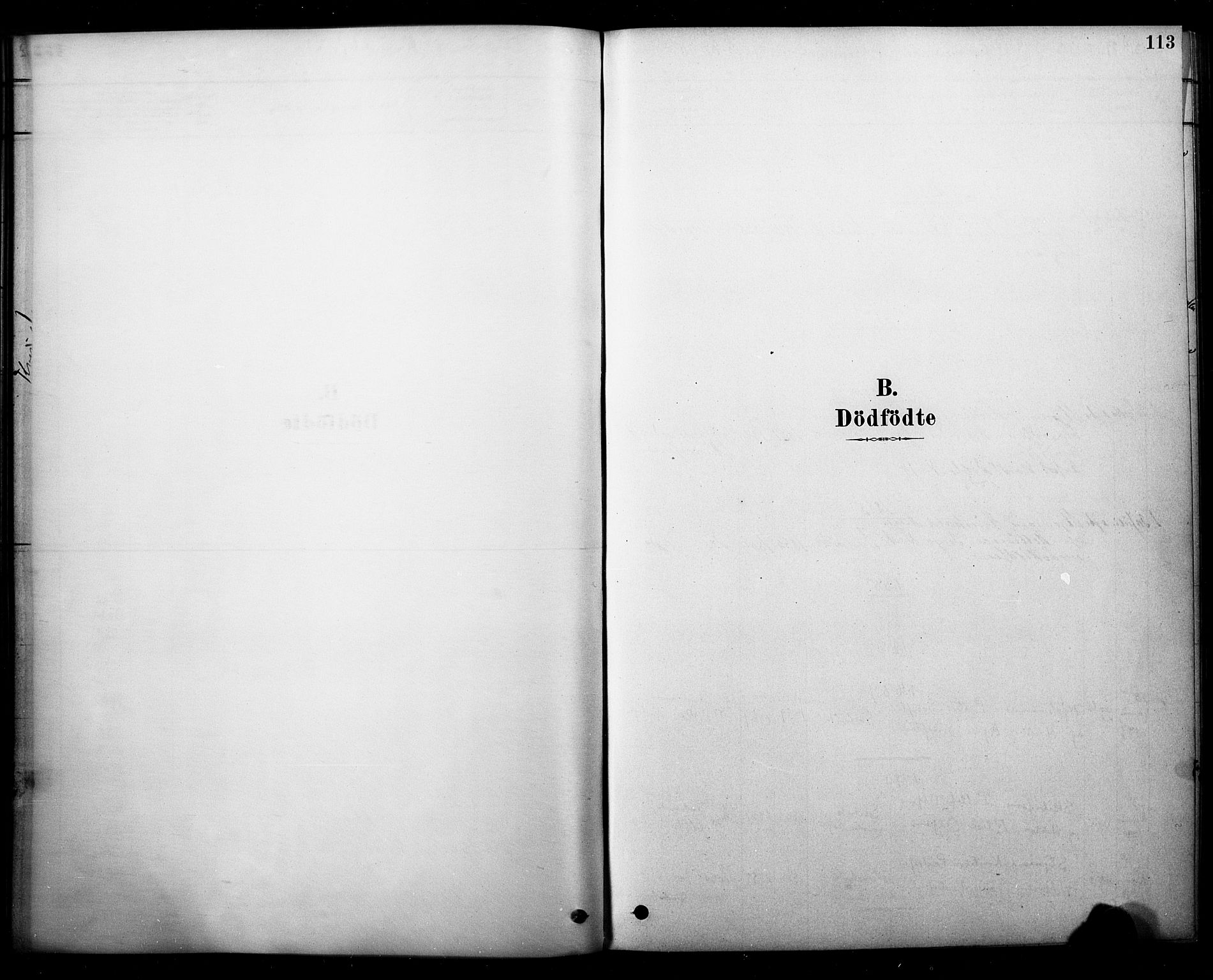 Strømm kirkebøker, SAKO/A-322/F/Fb/L0001: Parish register (official) no. II 1, 1878-1899, p. 113