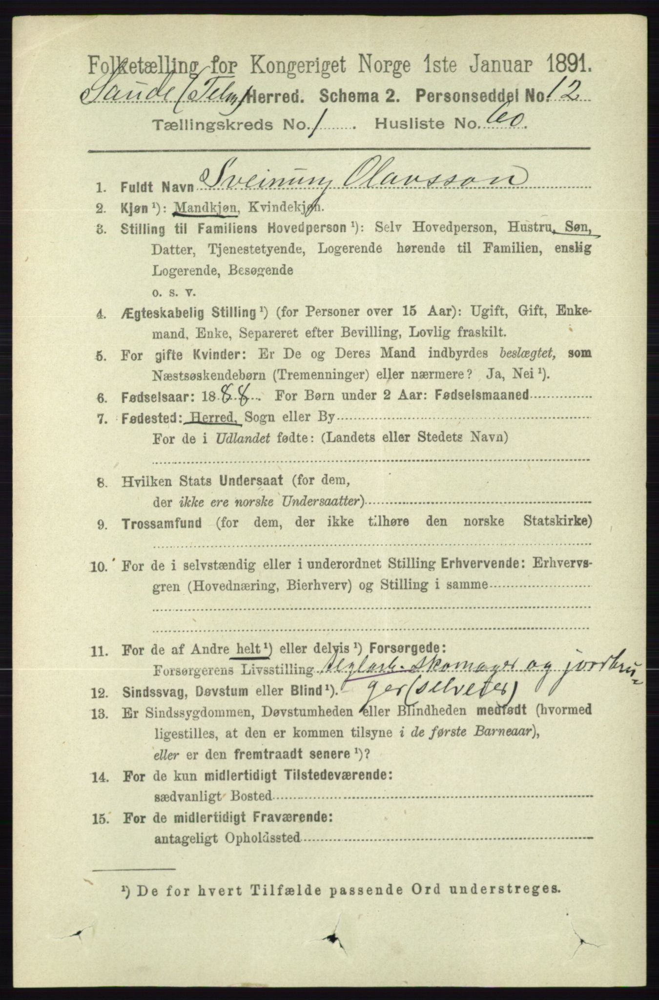 RA, 1891 census for 0822 Sauherad, 1891, p. 384