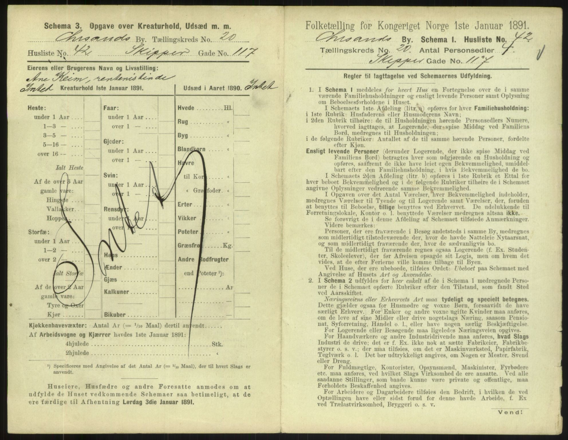 RA, 1891 census for 1001 Kristiansand, 1891, p. 1198