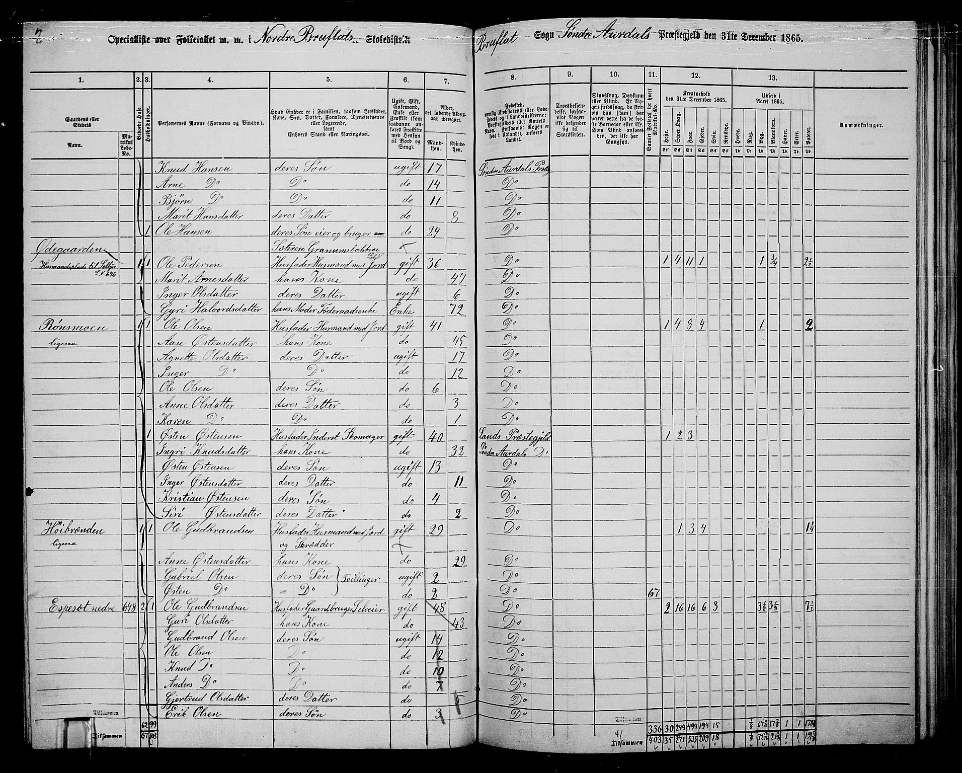 RA, 1865 census for Sør-Aurdal, 1865, p. 199