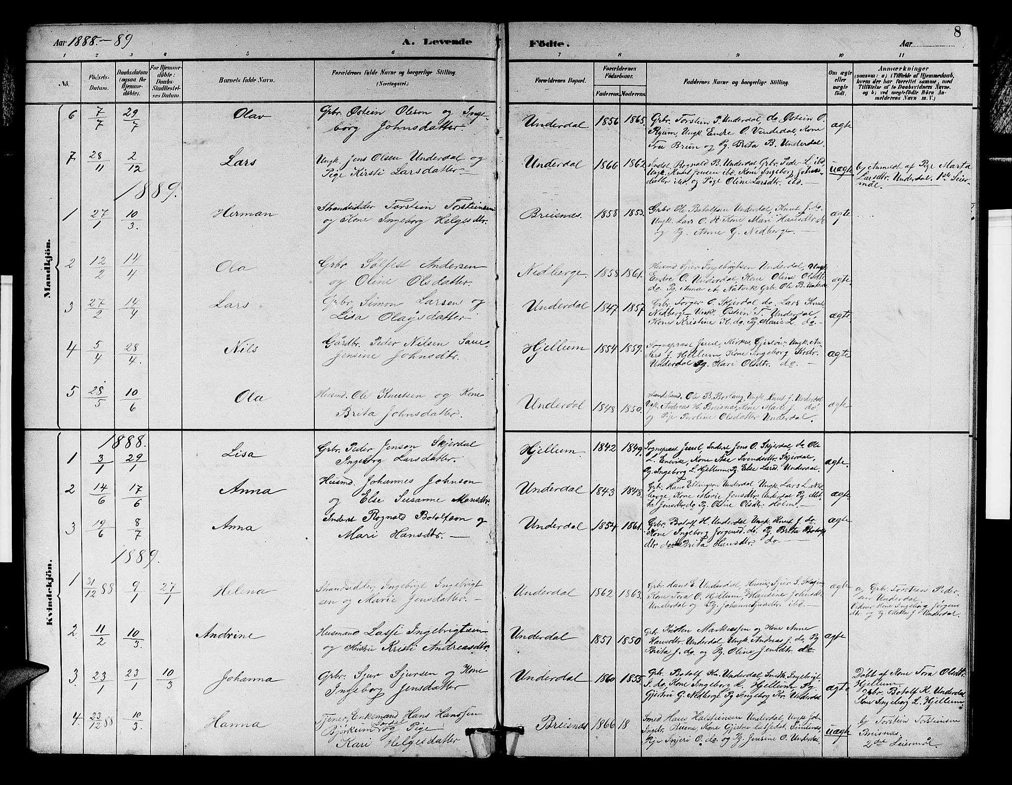 Aurland sokneprestembete, SAB/A-99937/H/Hb/Hbd/L0002: Parish register (copy) no. D 2, 1883-1920, p. 8
