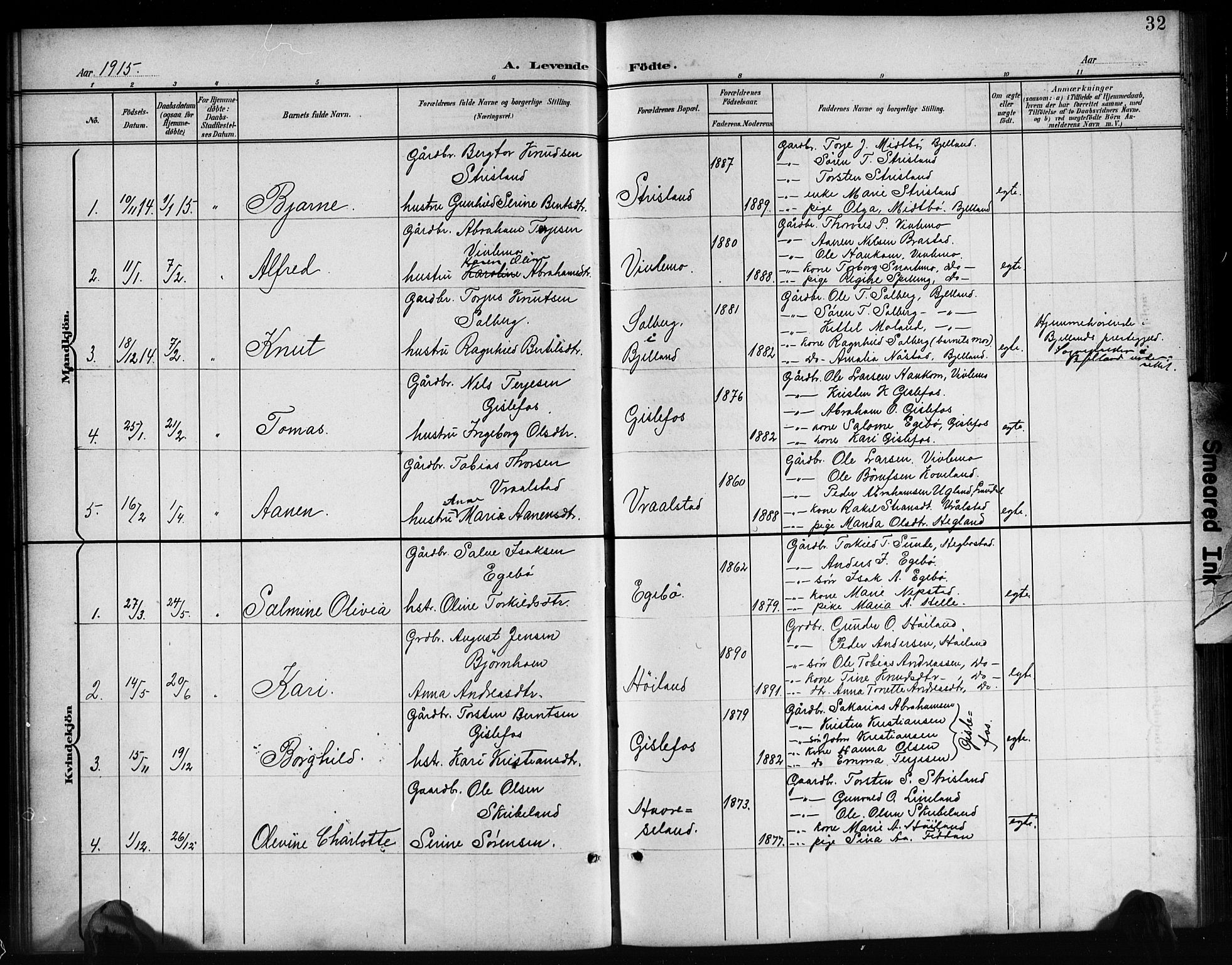 Nord-Audnedal sokneprestkontor, SAK/1111-0032/F/Fb/Fba/L0004: Parish register (copy) no. B 4, 1901-1917, p. 32